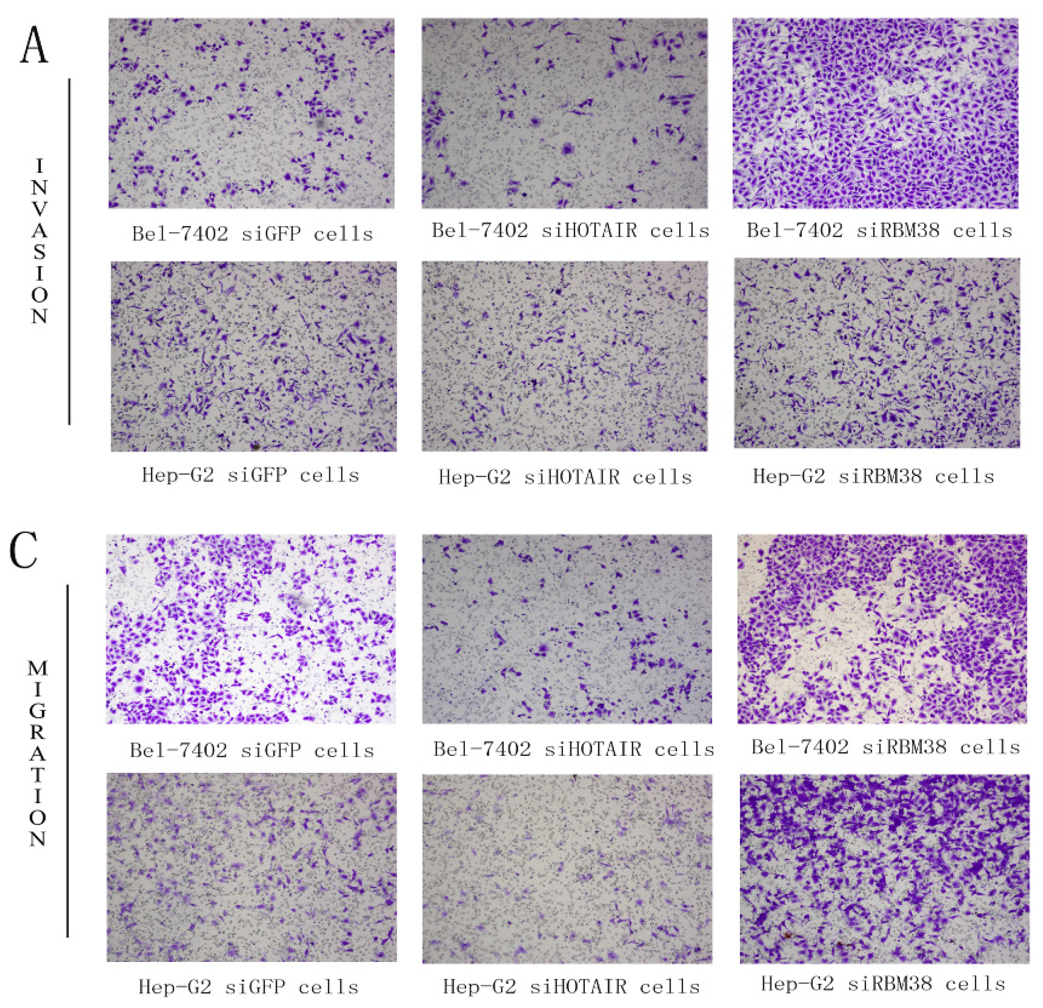Ijms 15 04060f6a 1024