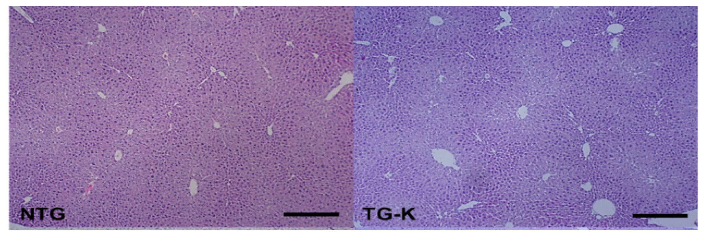 Ijms 15 04126f1a 1024