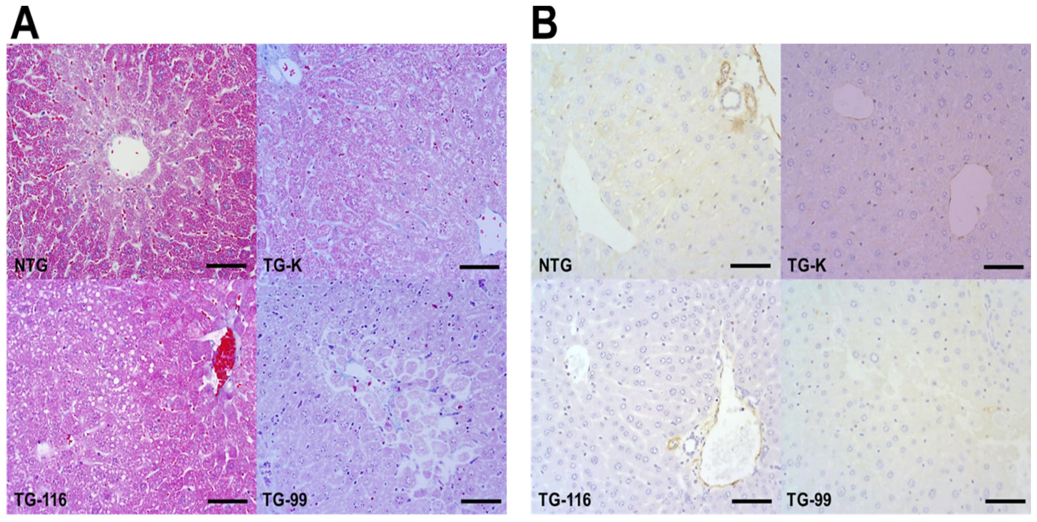 Ijms 15 04126f2 1024