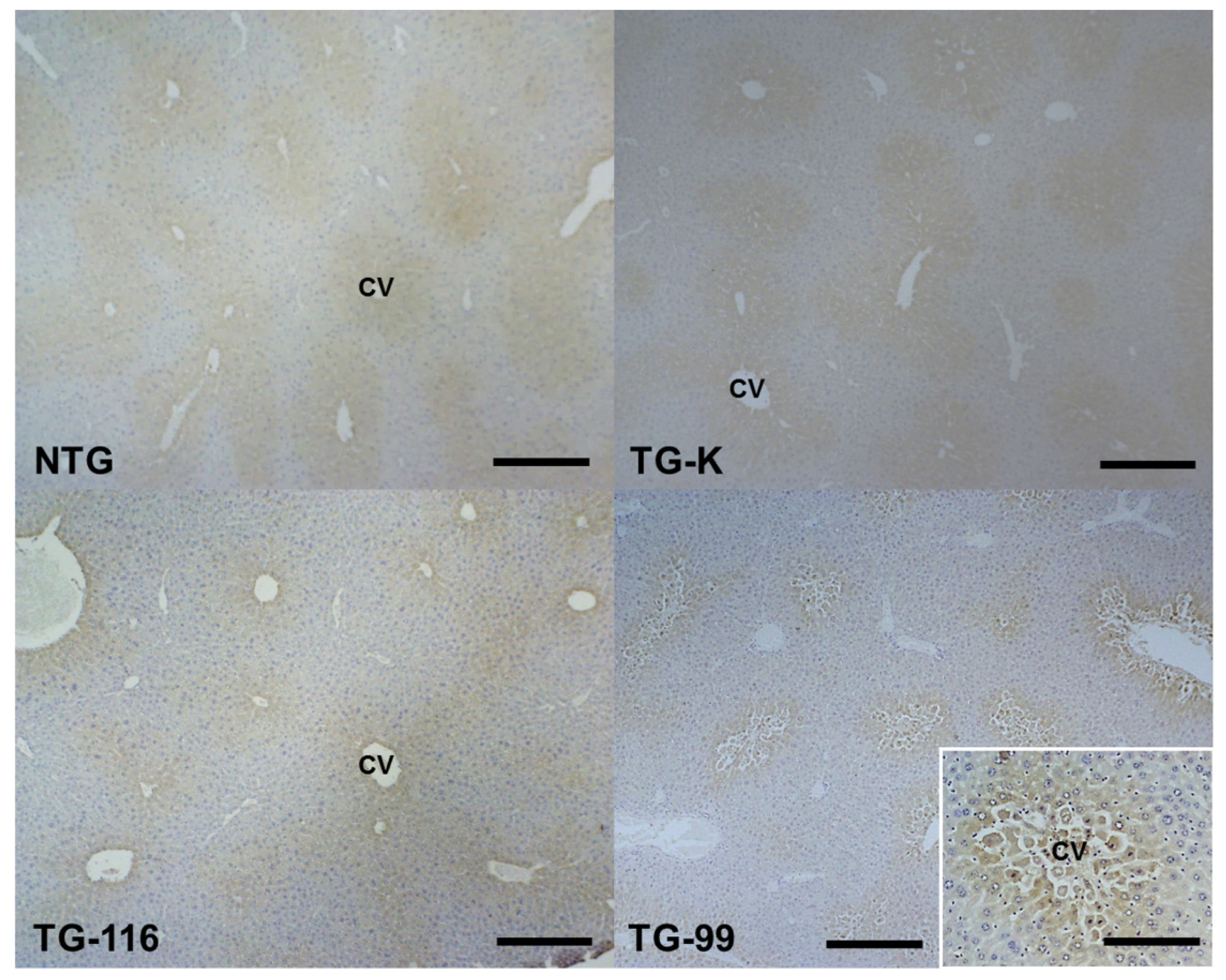 Ijms 15 04126f4 1024