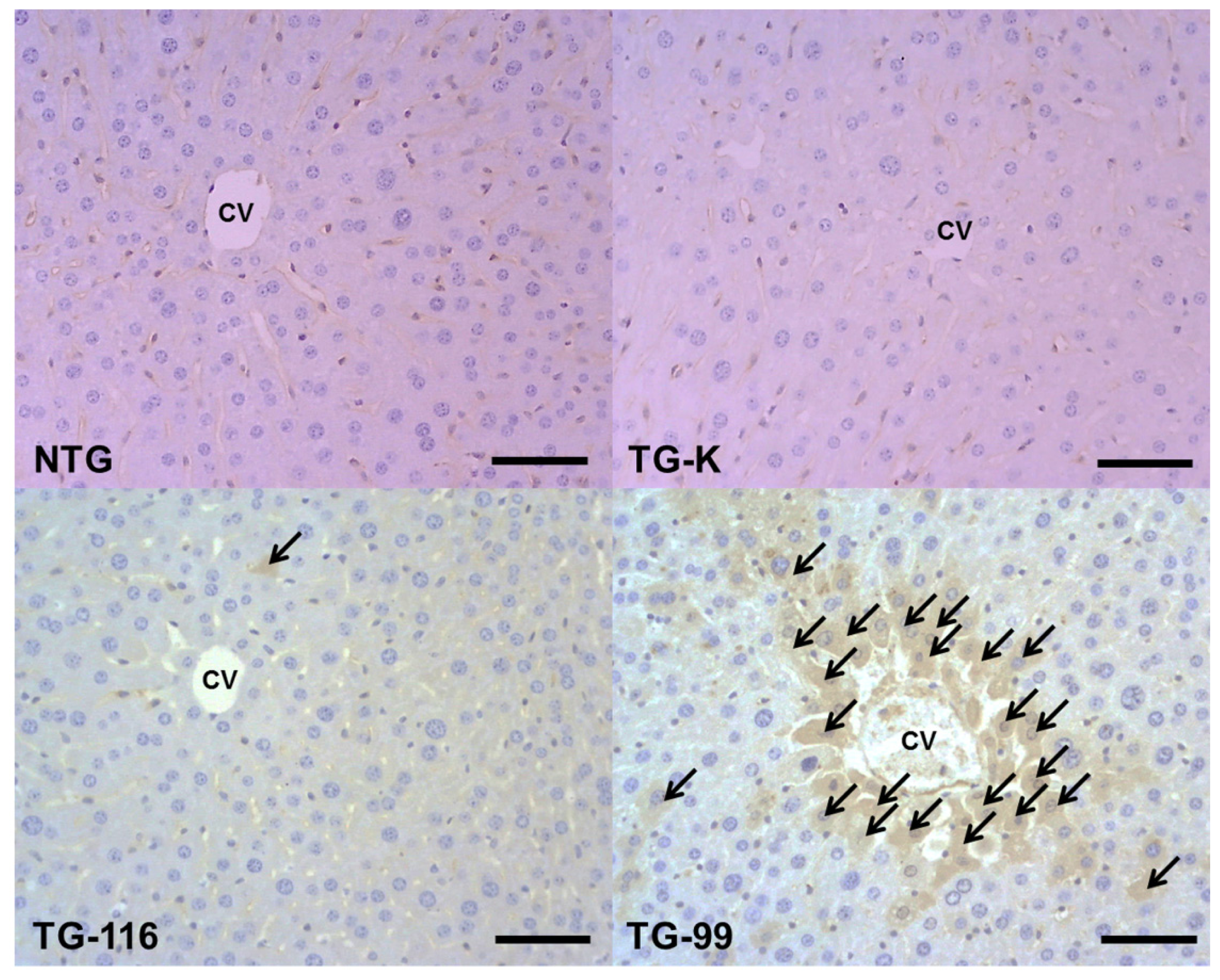 Ijms 15 04126f5 1024