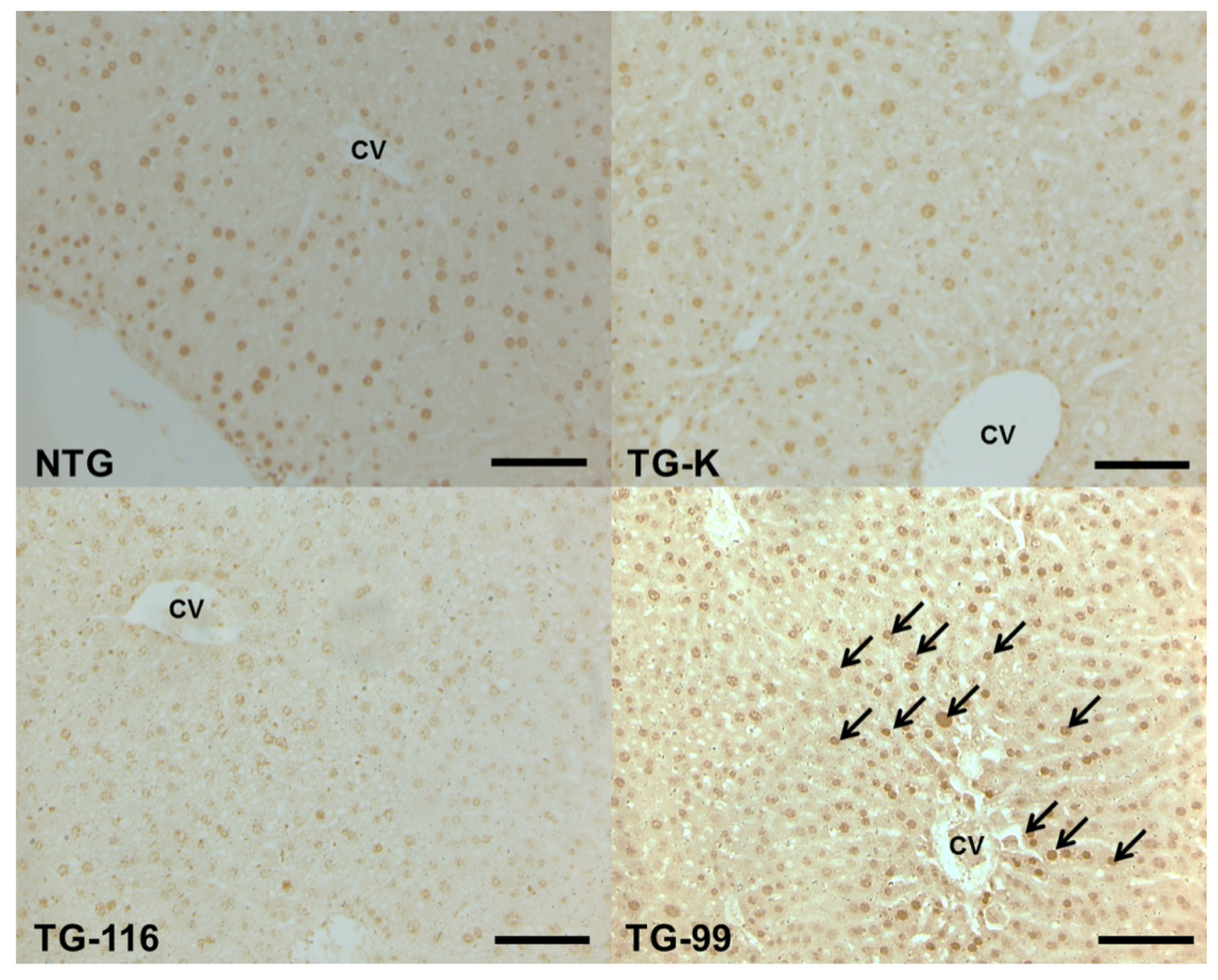 Ijms 15 04126f7 1024