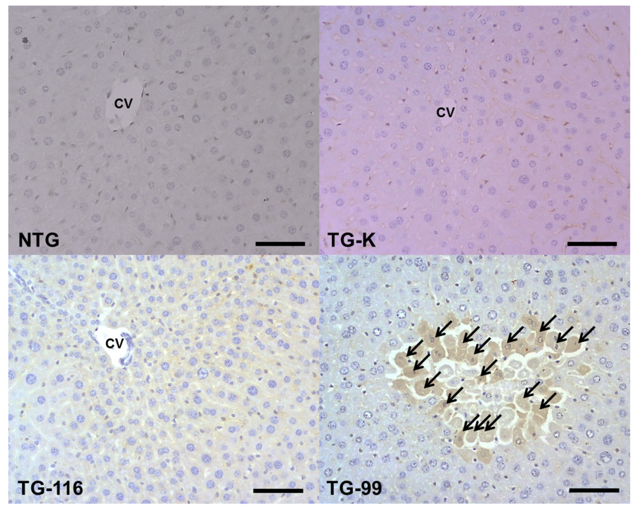 Ijms 15 04126f8 1024