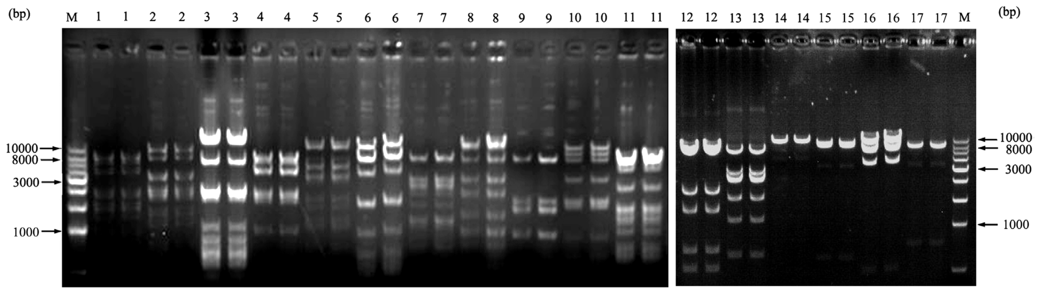 Ijms 15 04189f4