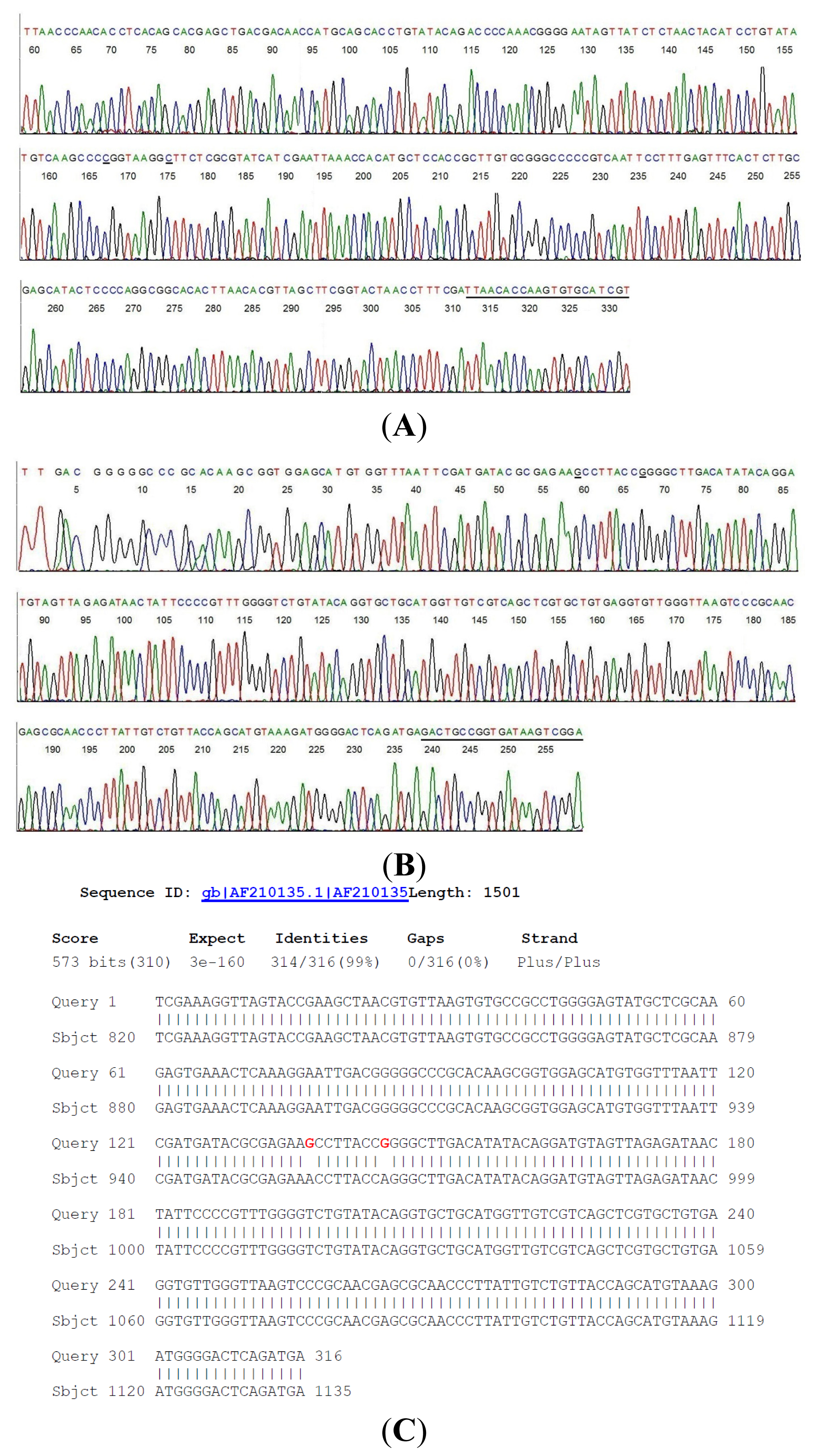 Ijms 15 04284f1 1024