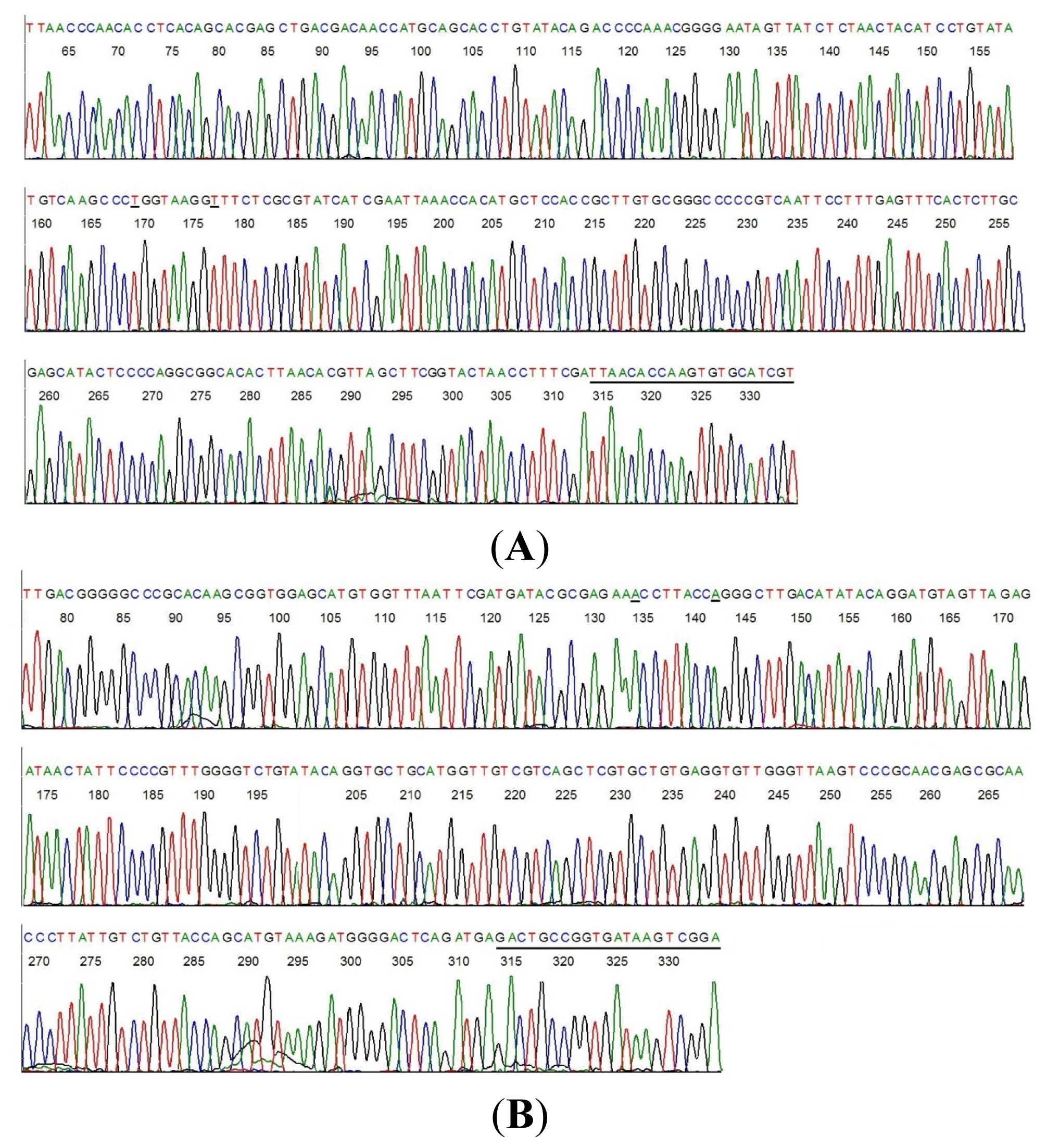 Ijms 15 04284f2 1024