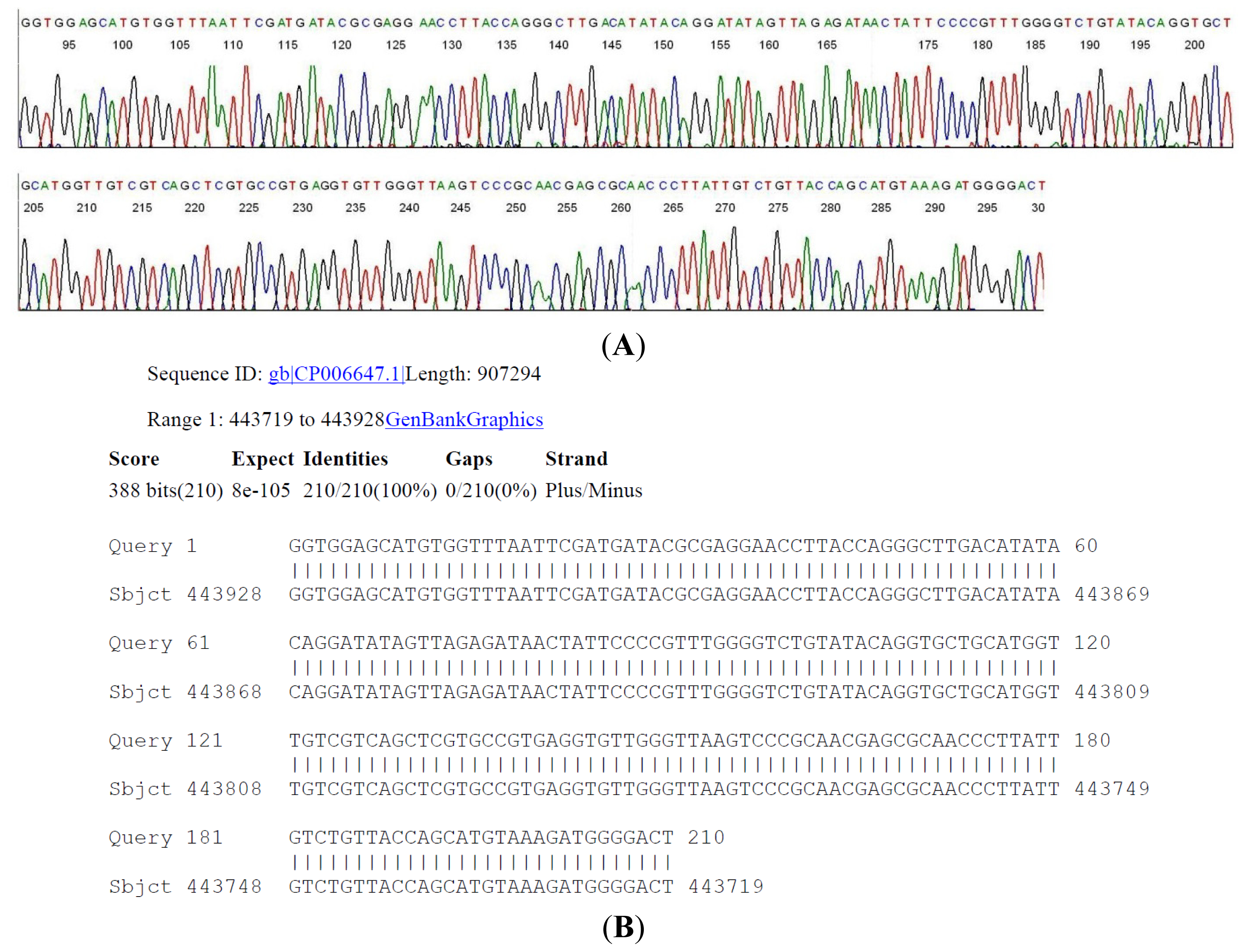 Ijms 15 04284f3 1024