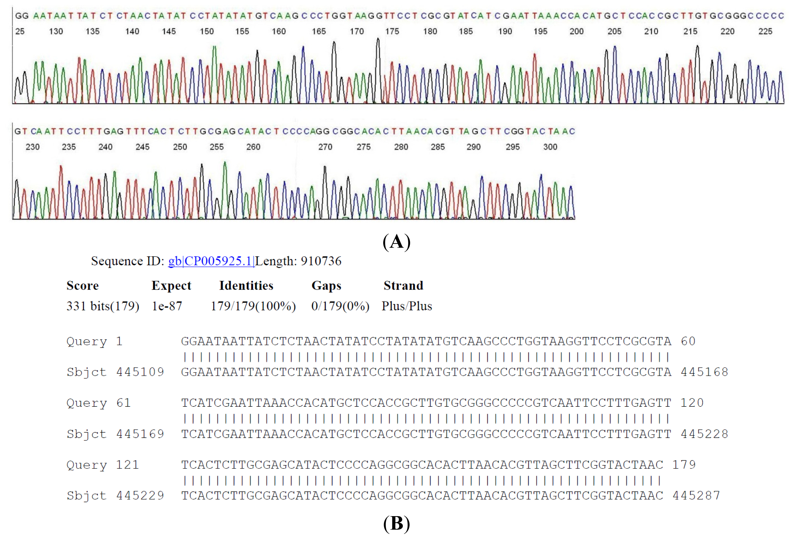 Ijms 15 04284f4 1024