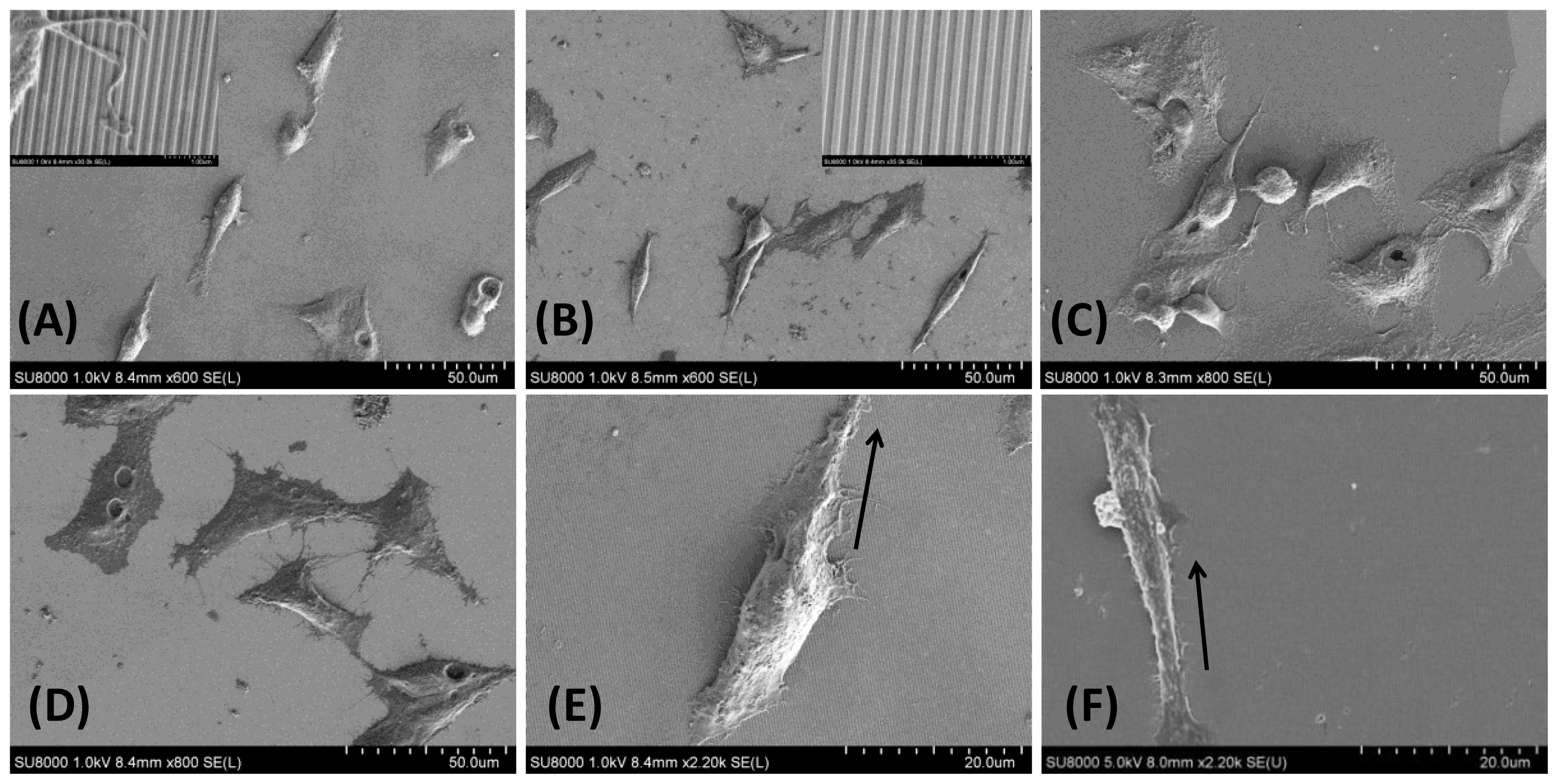 Ijms 15 04299f6 1024