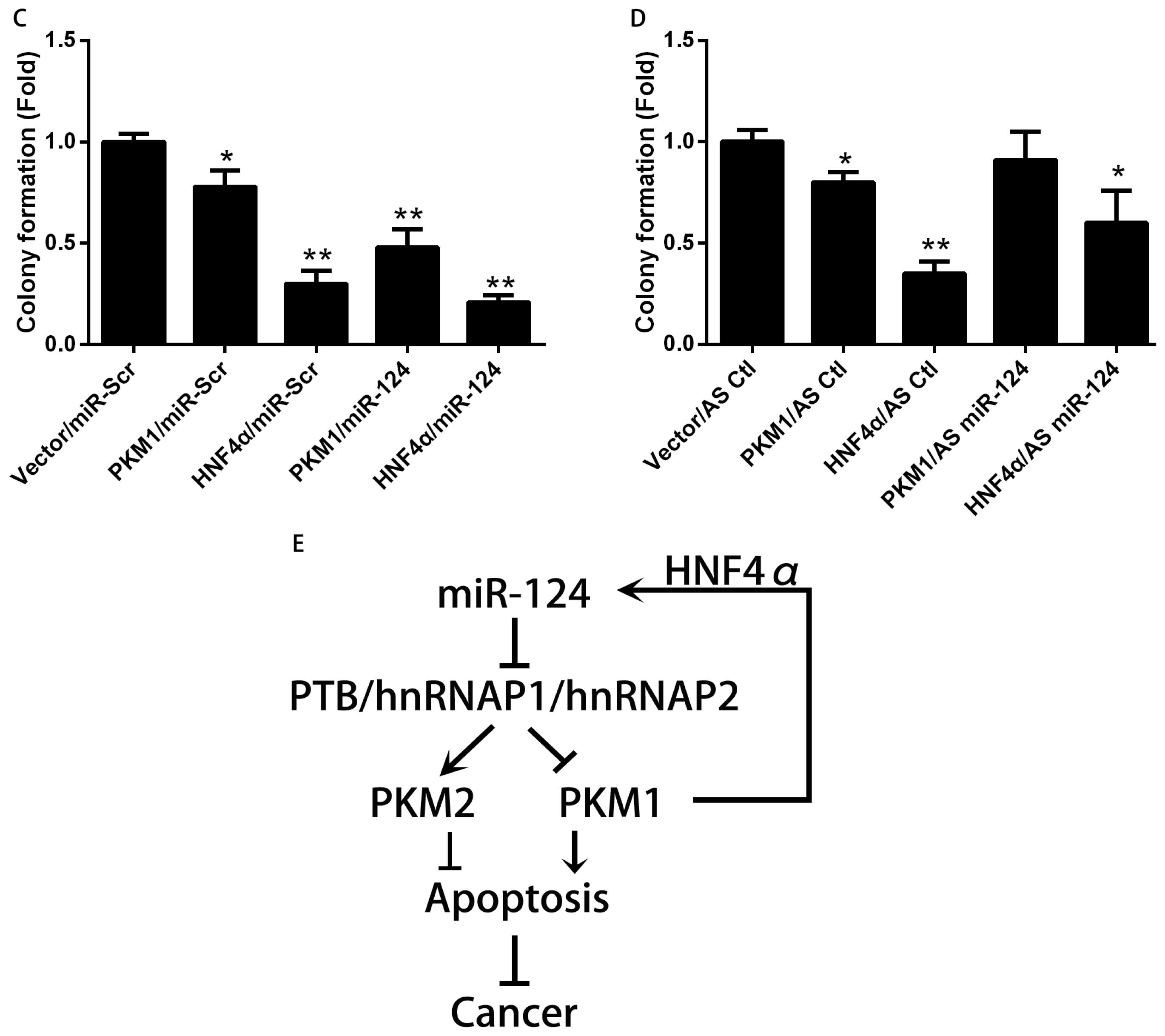 Ijms 15 04318f4b 1024