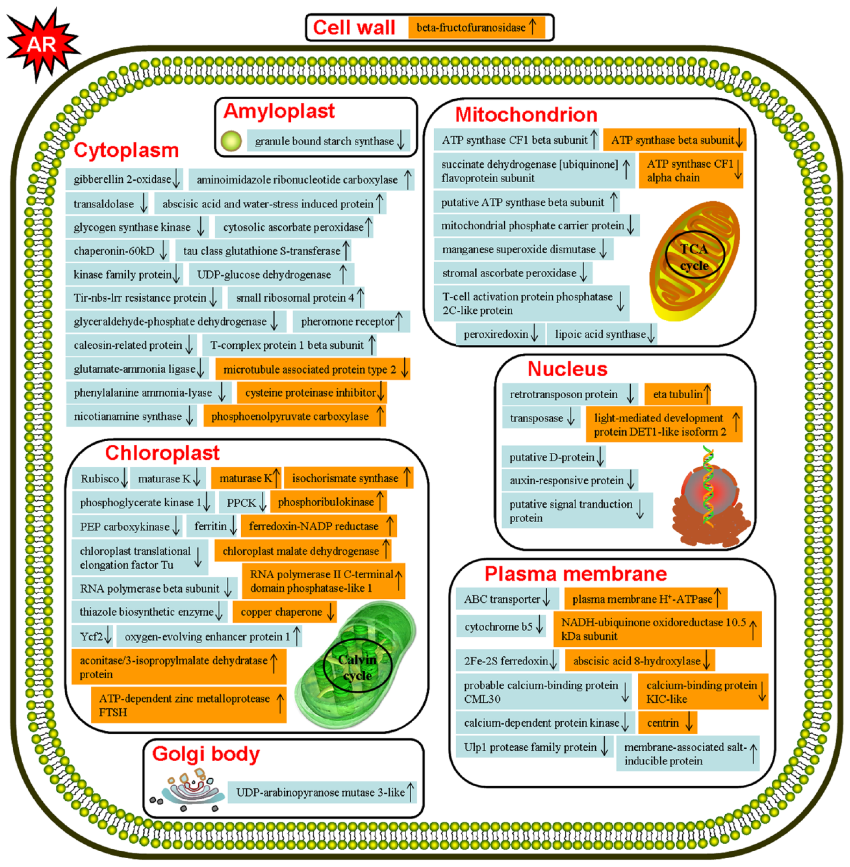 Ijms 15 04333f4 1024