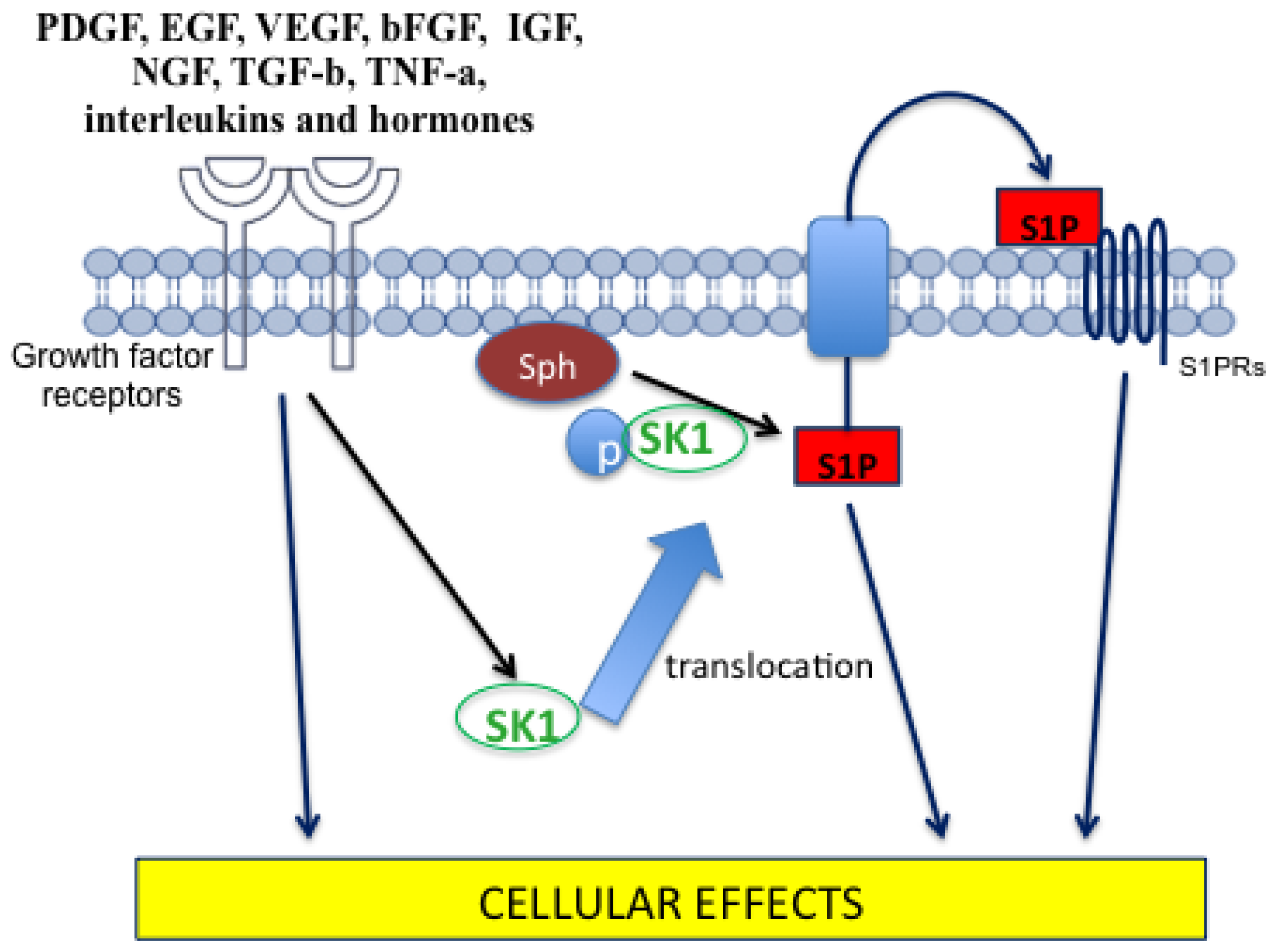 Ijms 15 04356f4 1024