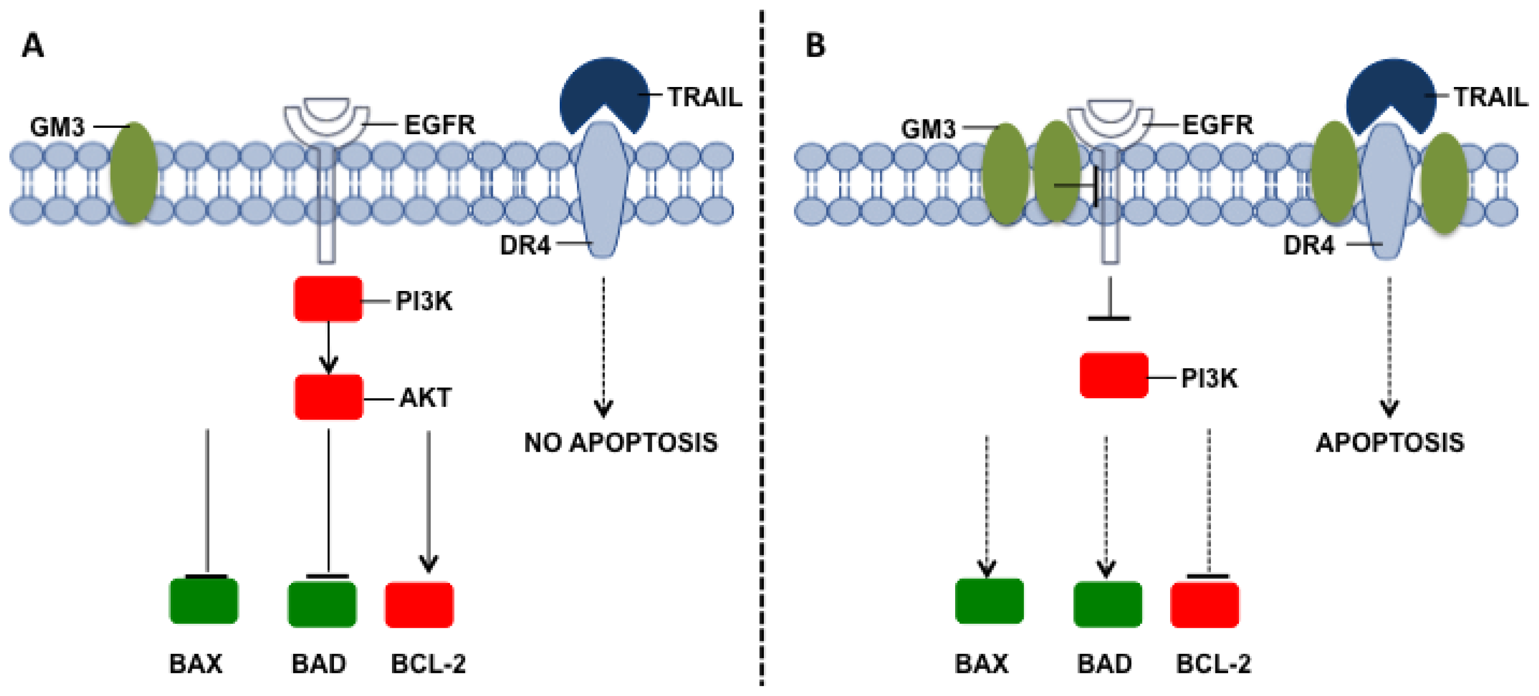Ijms 15 04356f6 1024