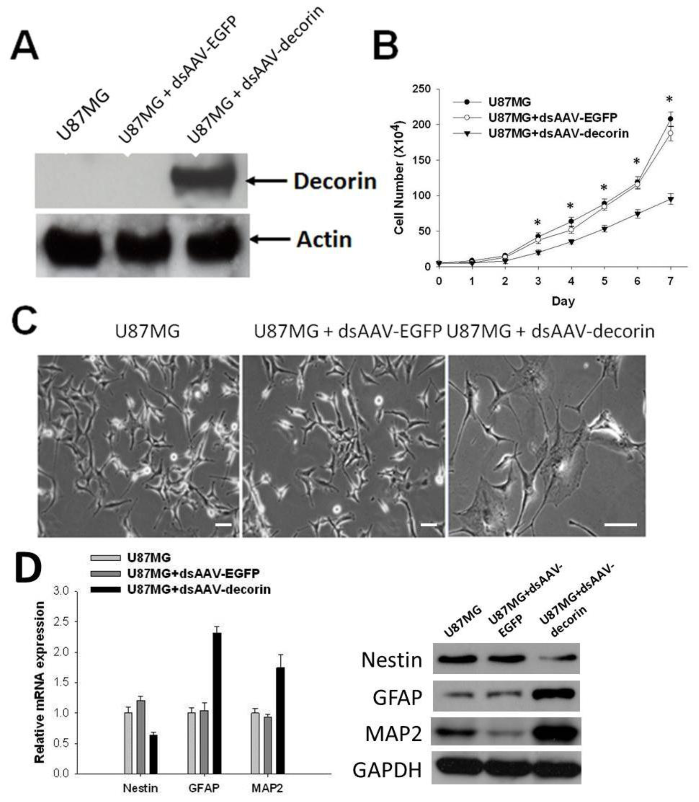 Ijms 15 04393f1 1024