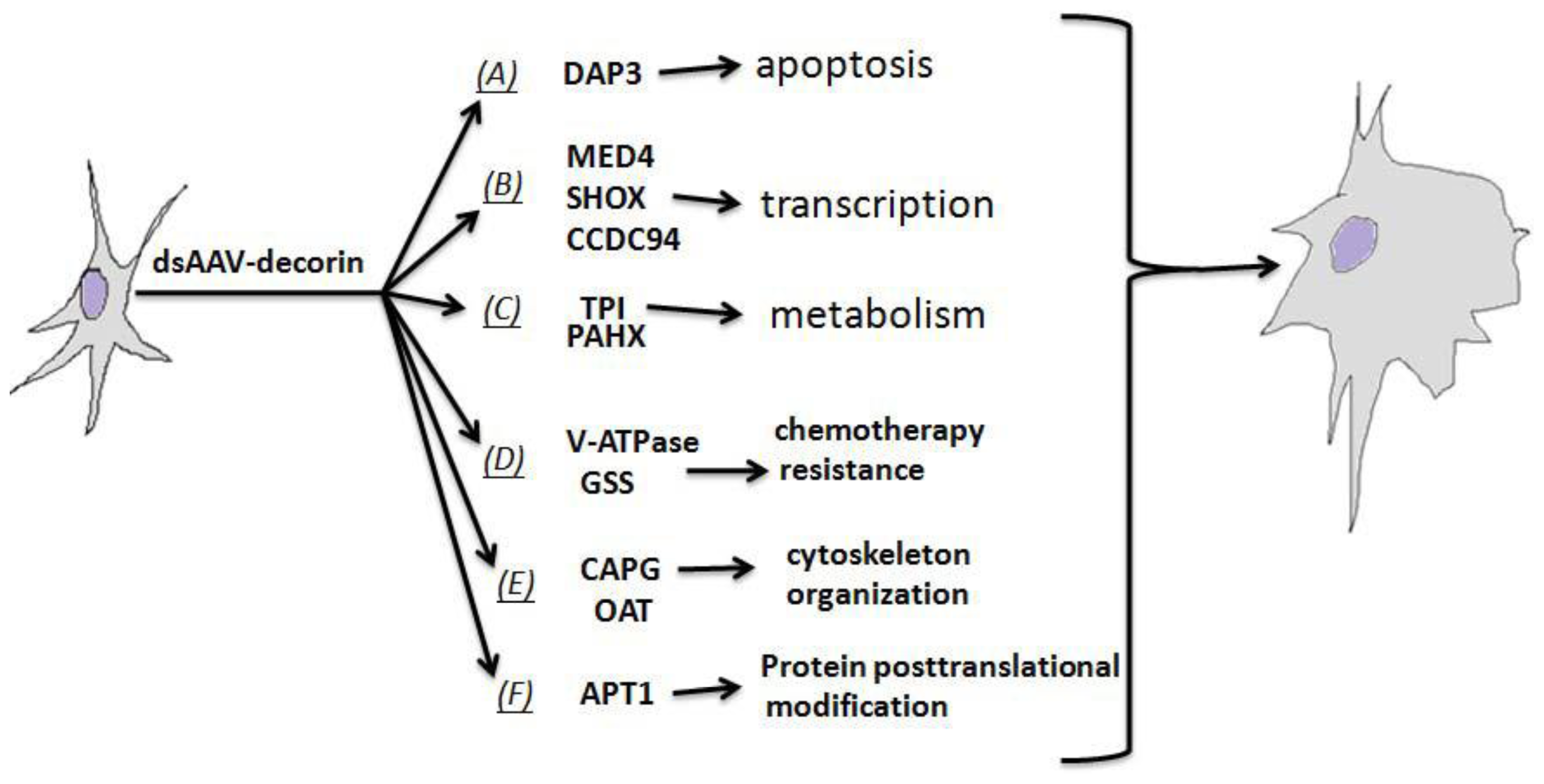 Ijms 15 04393f7 1024