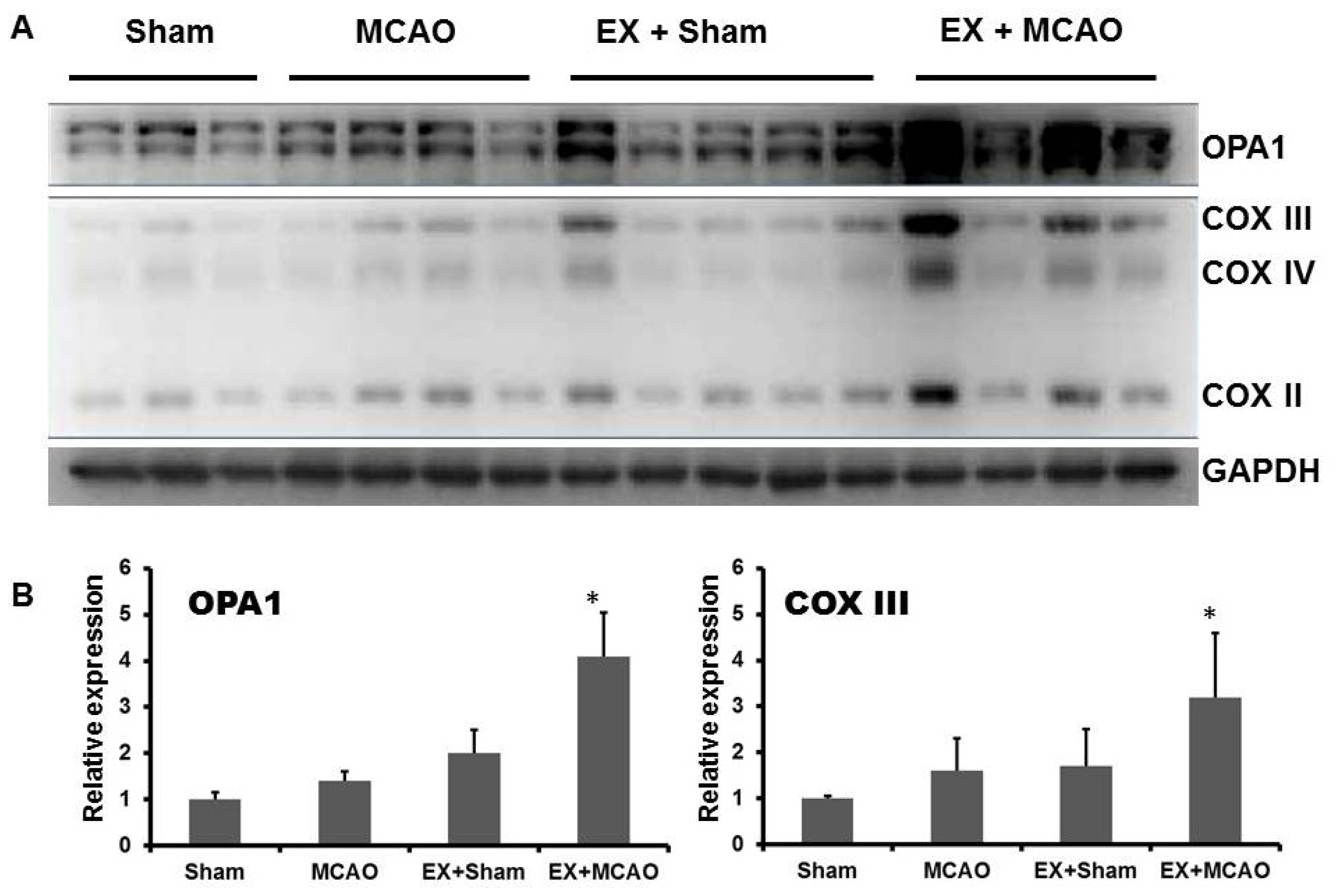 Ijms 15 04453f2 1024
