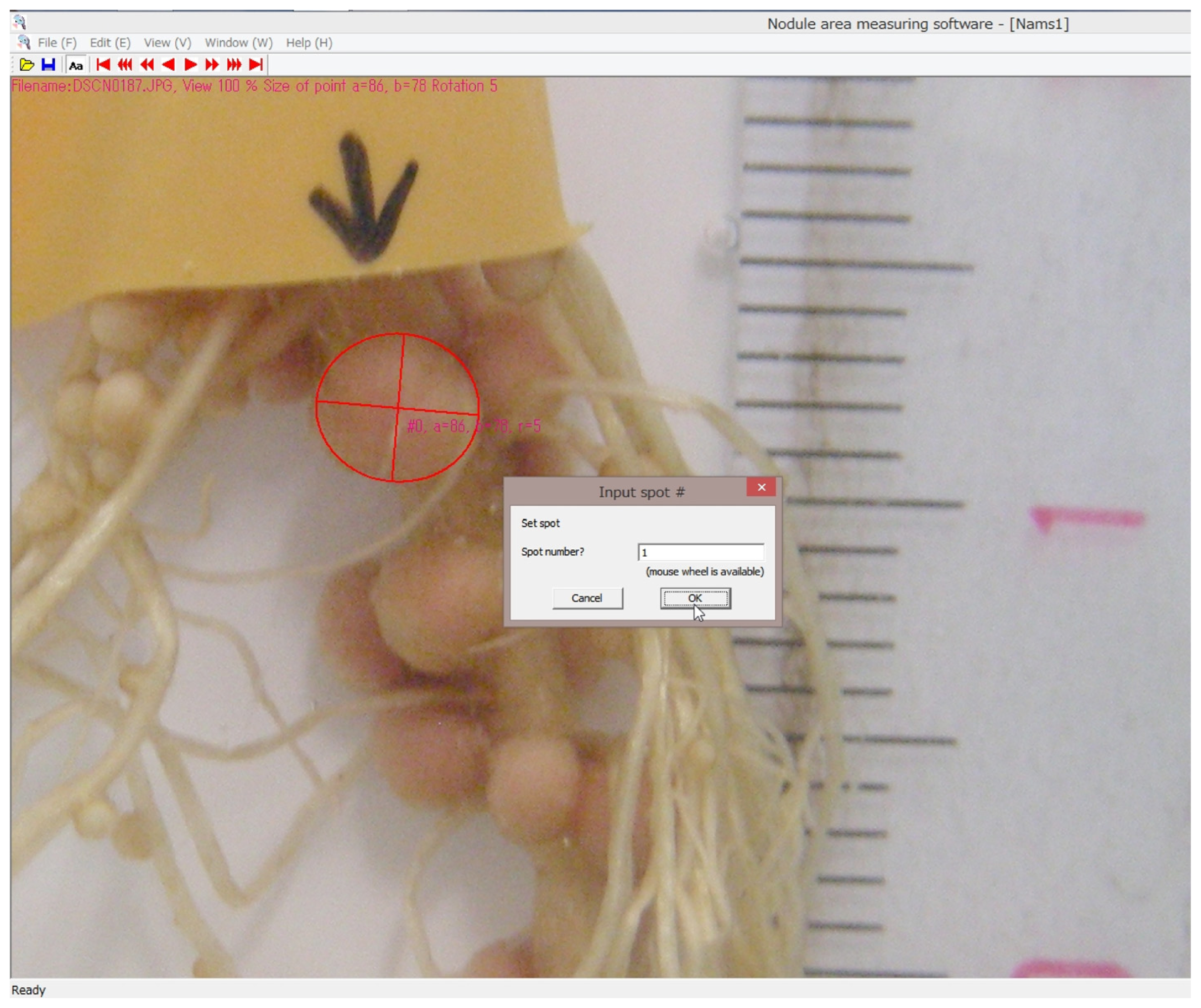 Ijms 15 04464f6 1024