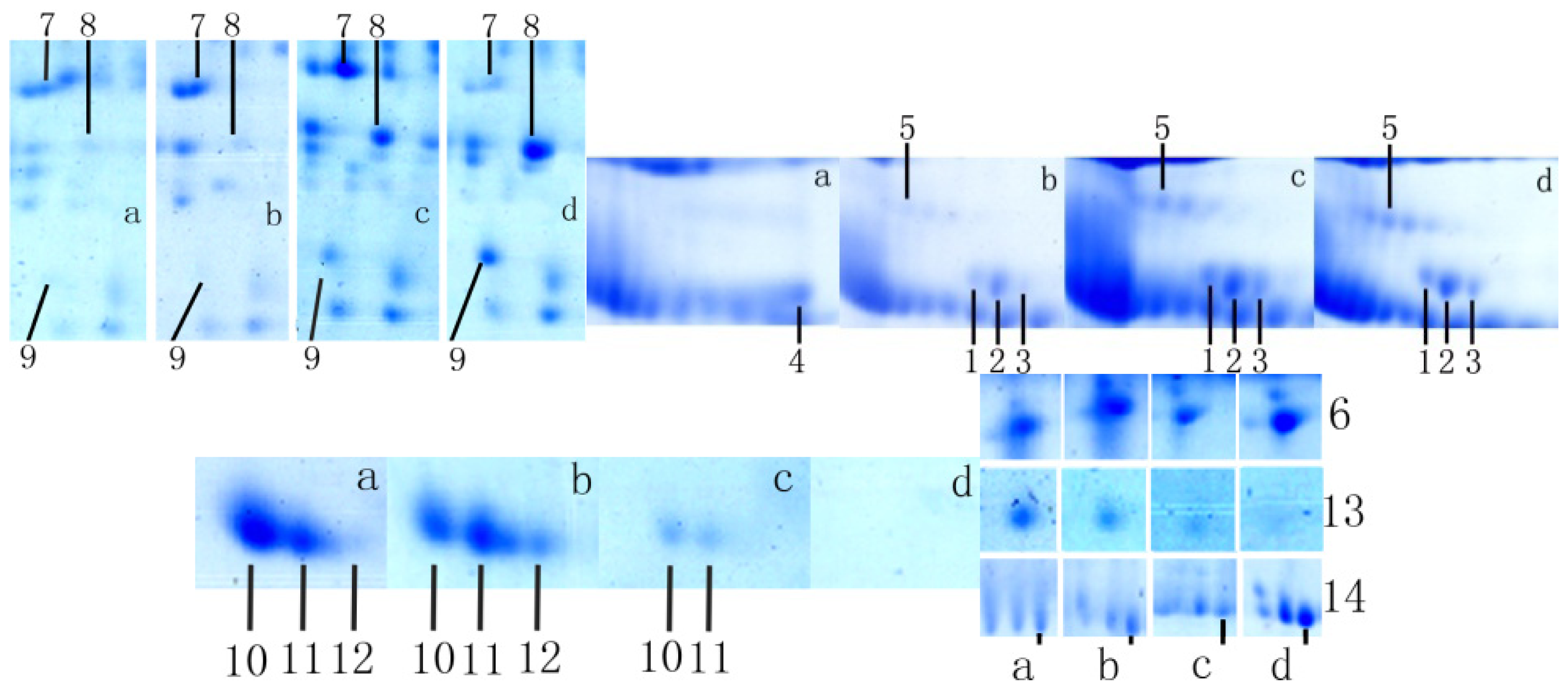 Ijms 15 04481f1 1024