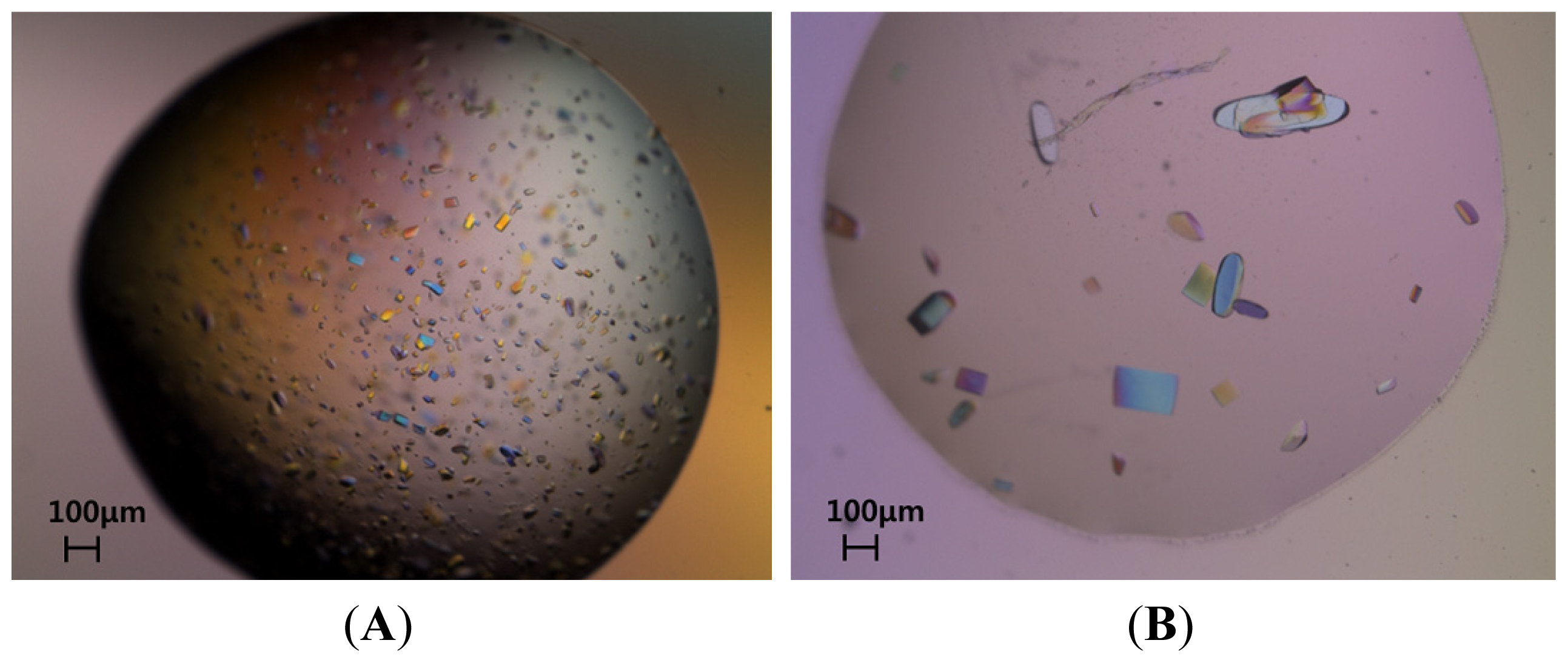 Ijms 15 04523f2 1024