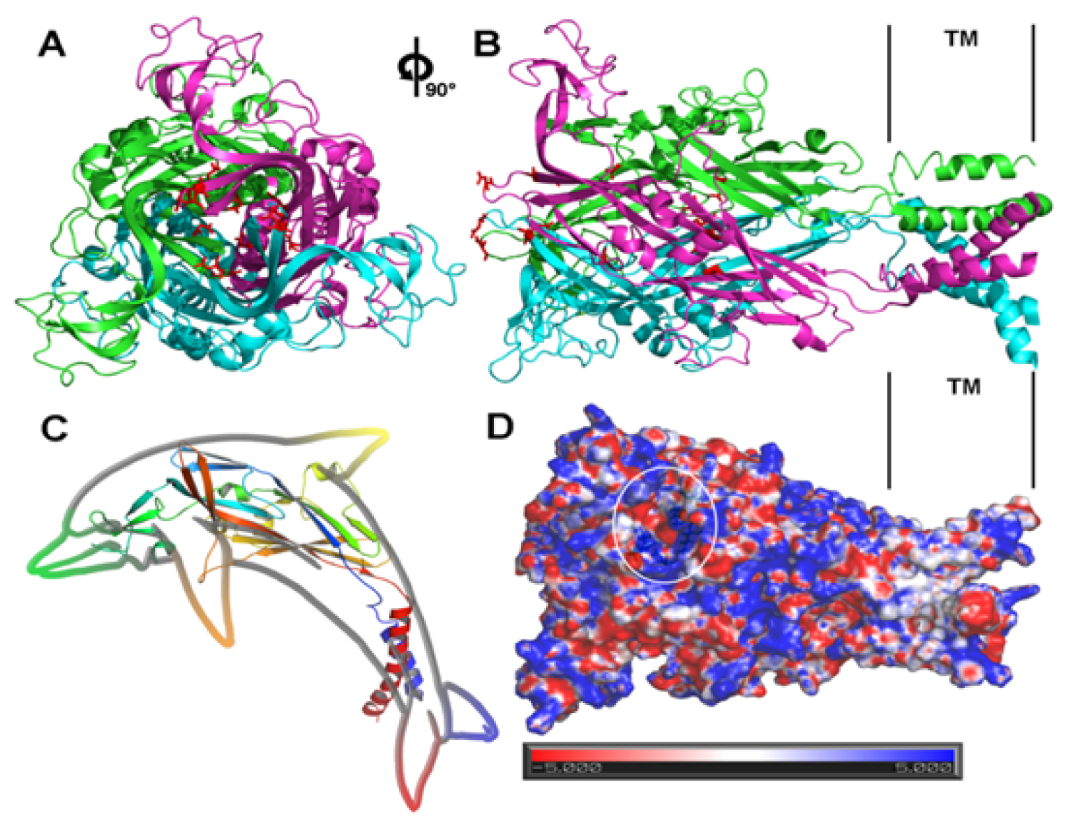 Ijms 15 04531f2 1024