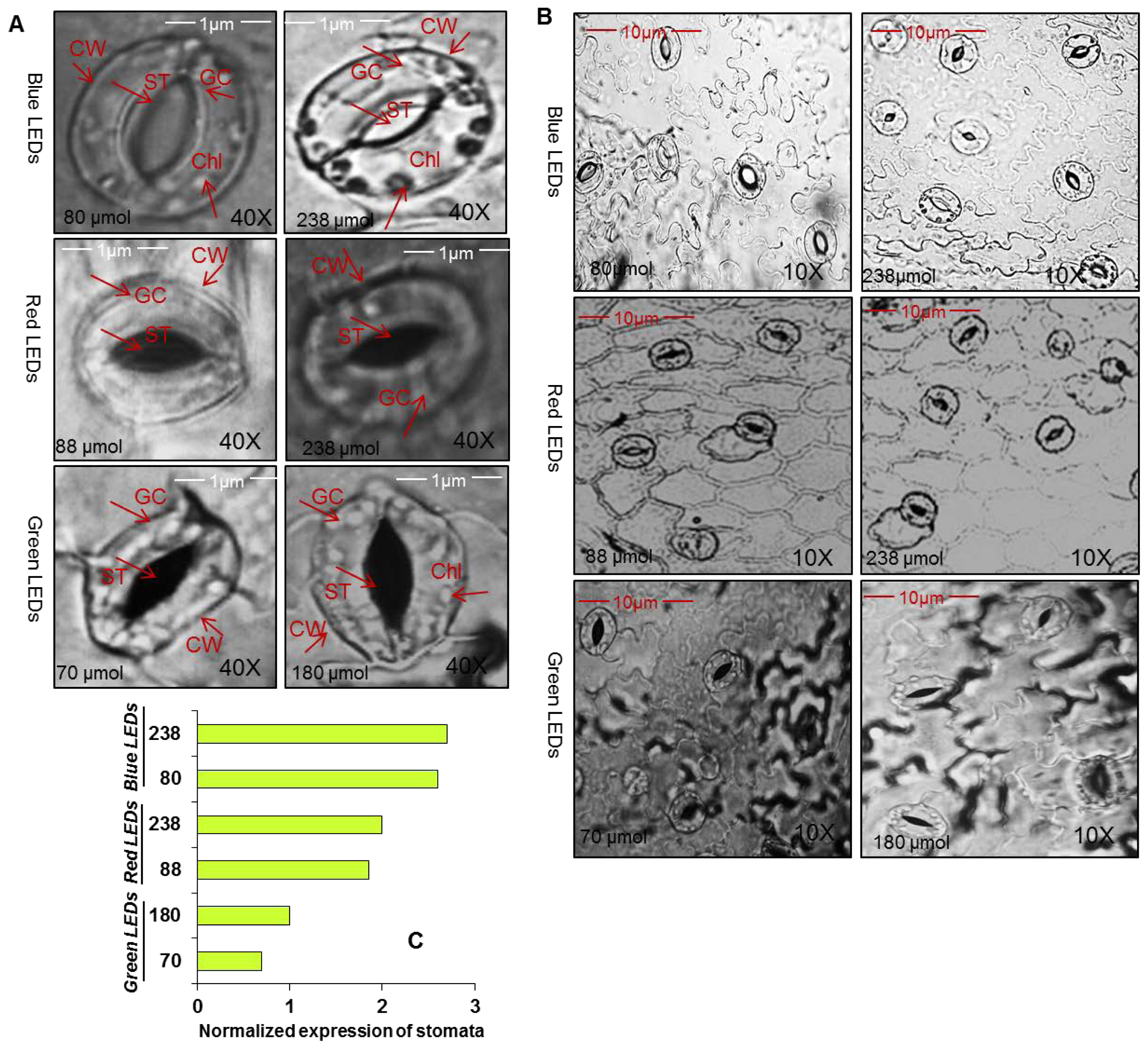 Ijms 15 04657f3 1024