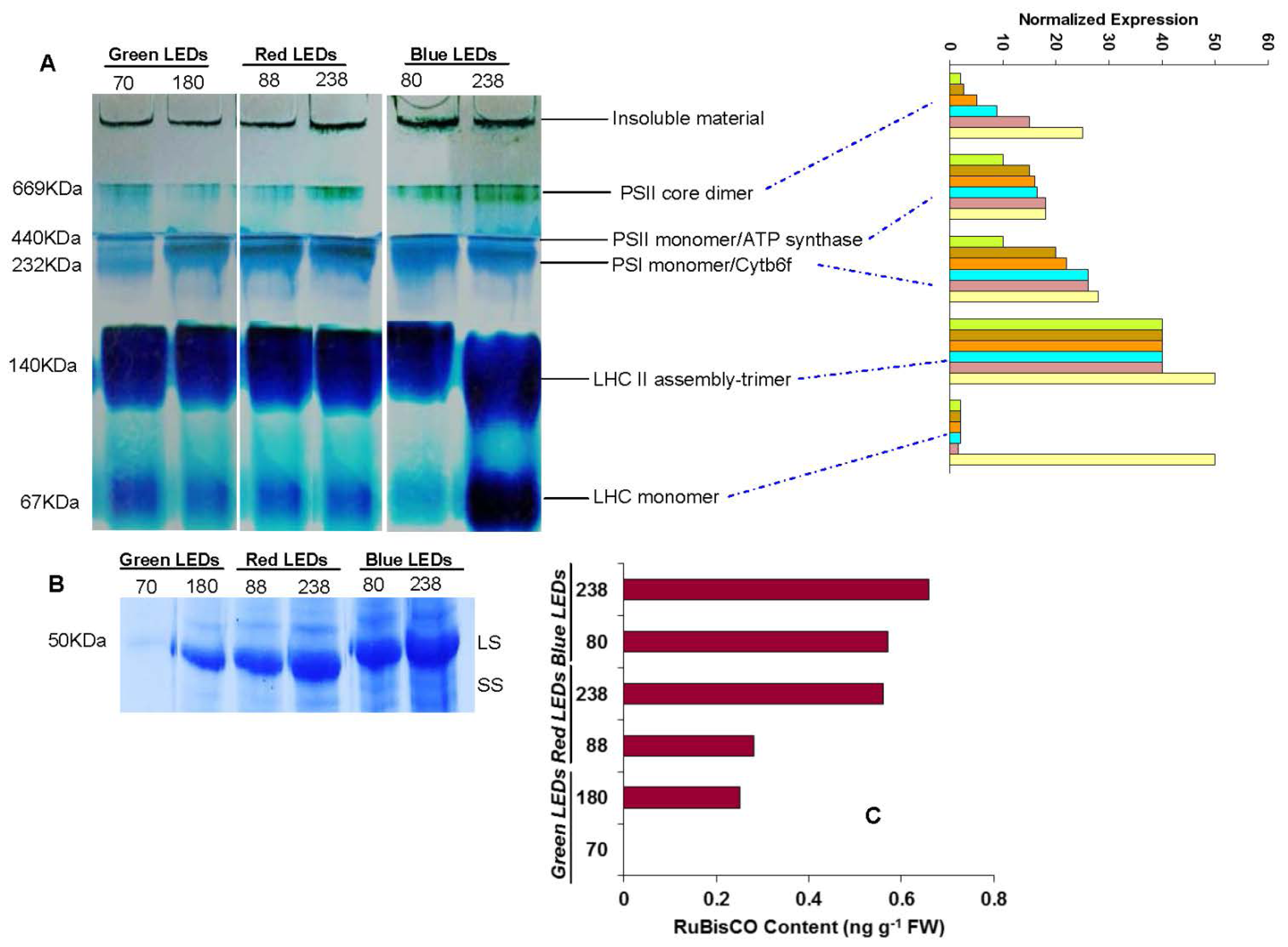 Ijms 15 04657f4 1024