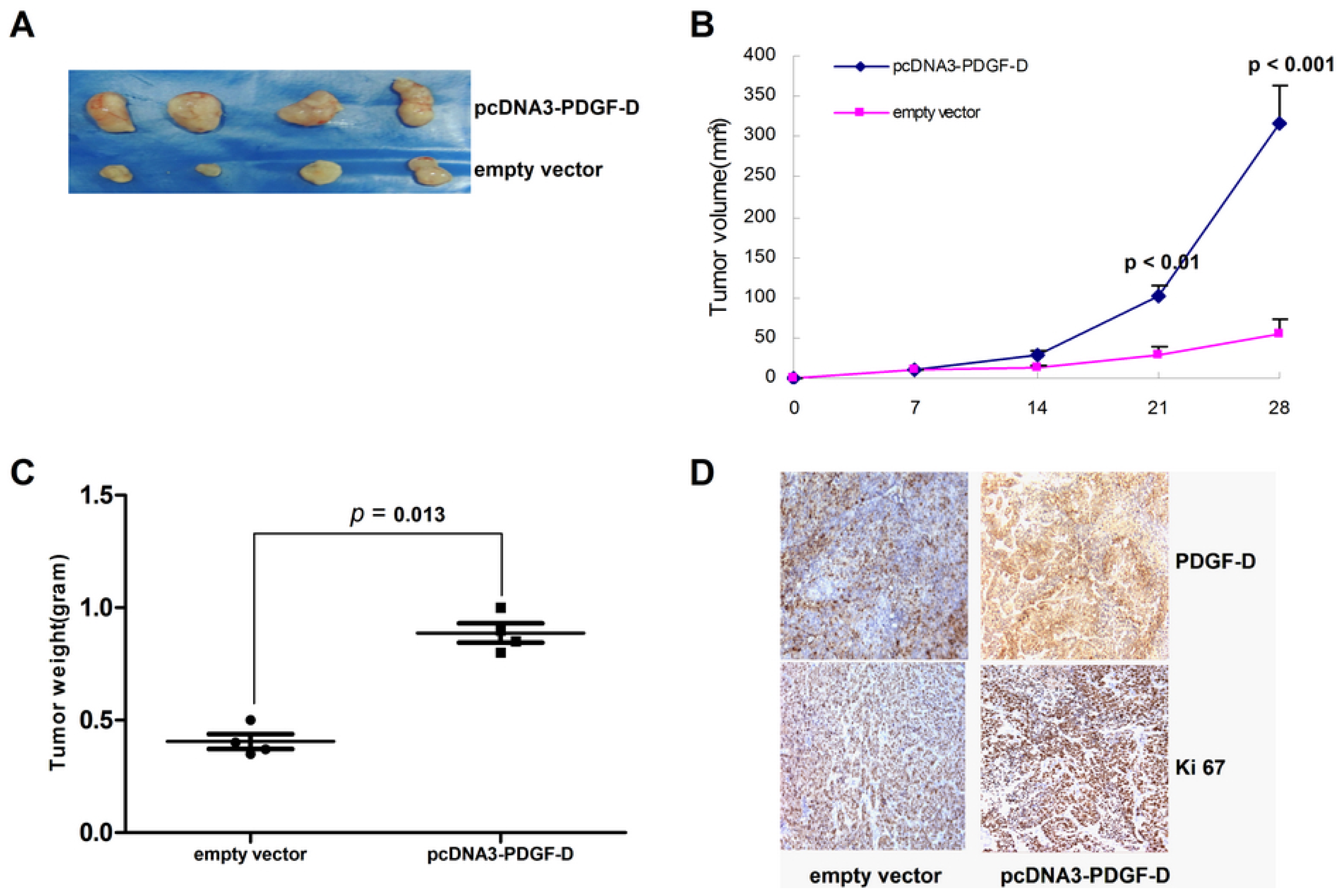 Ijms 15 04780f5 1024