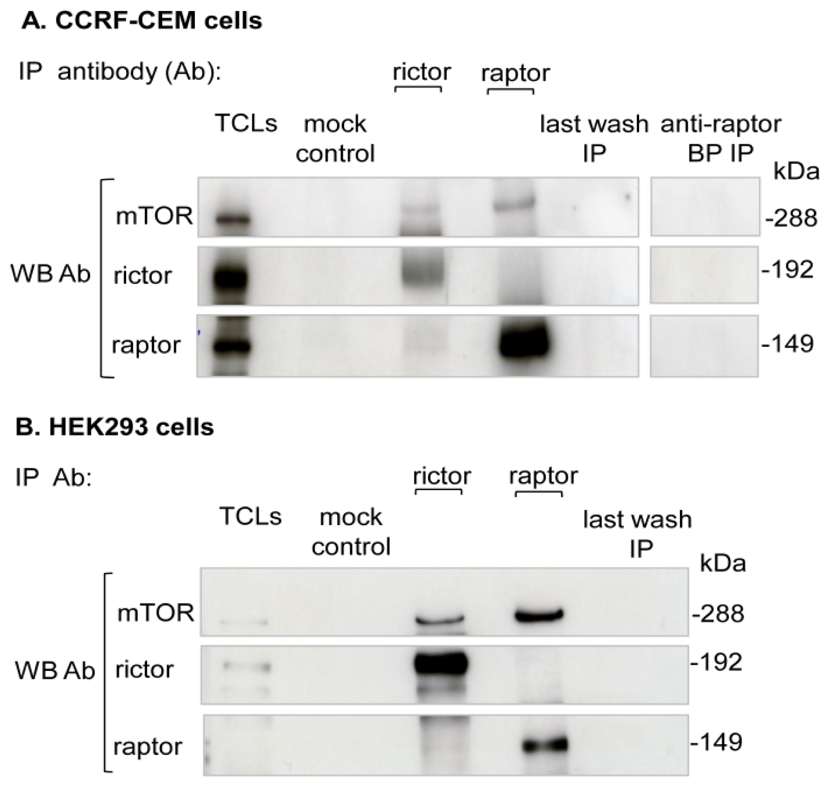Ijms 15 04823f1 1024