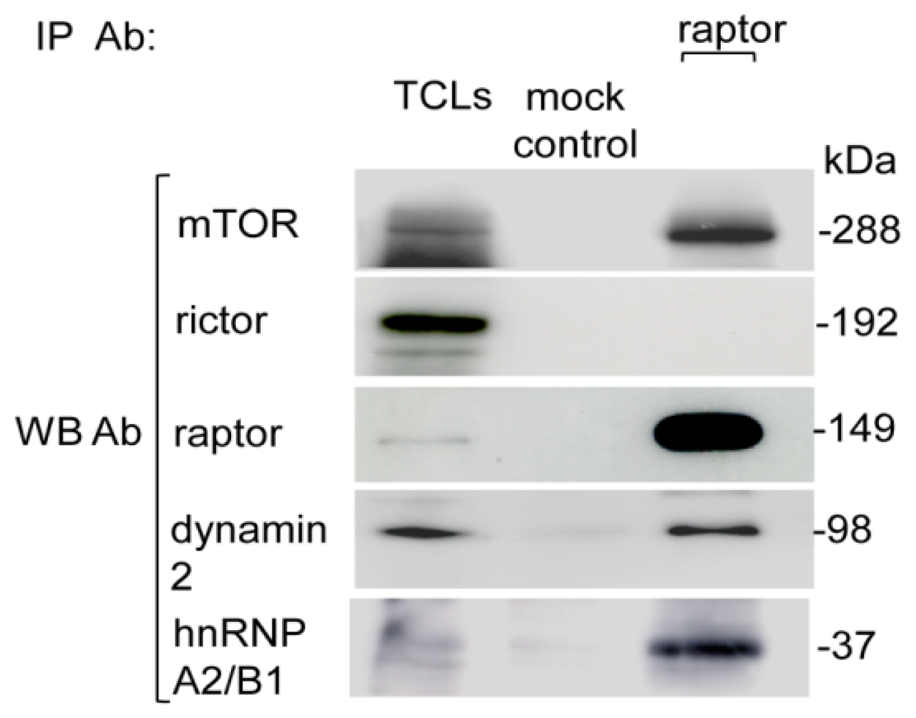 Ijms 15 04823f4 1024