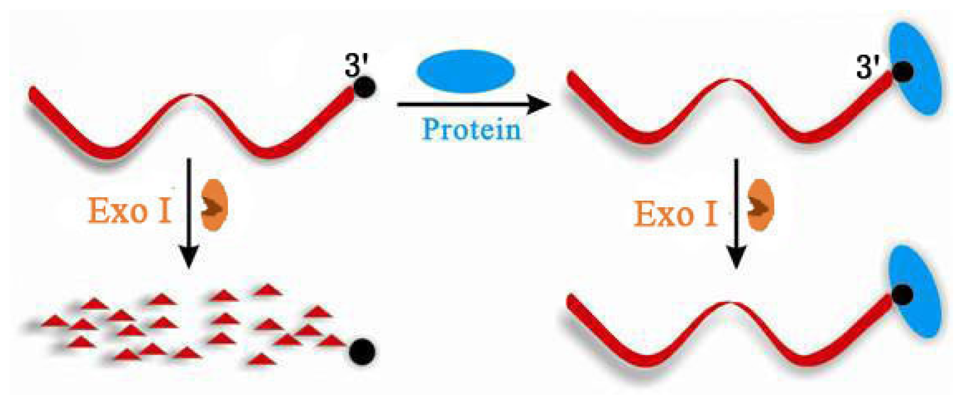 Ijms 15 05221f2 1024