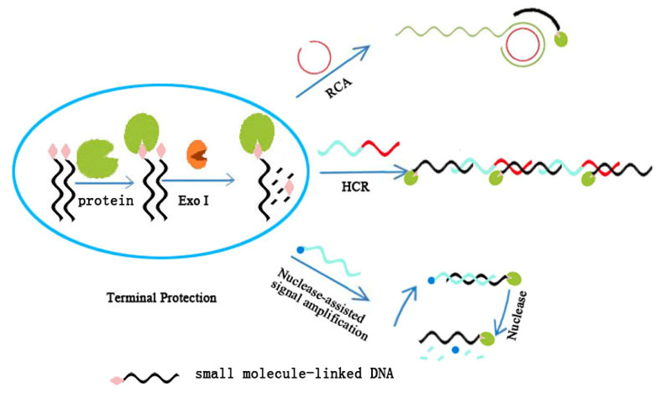 Ijms 15 05221f4 1024