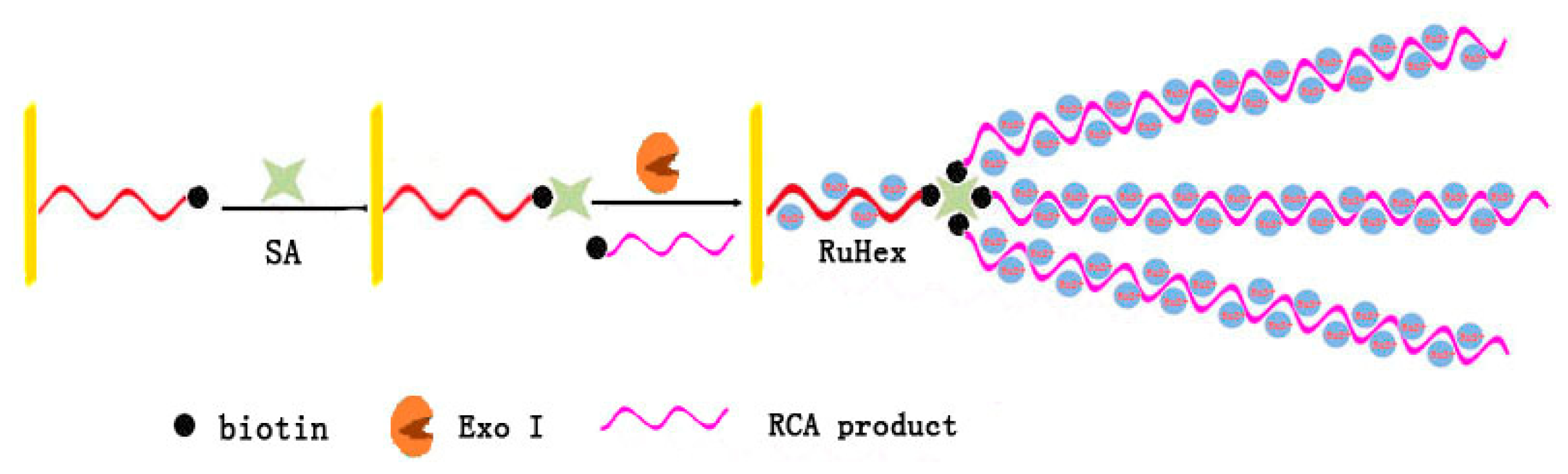 Ijms 15 05221f5 1024