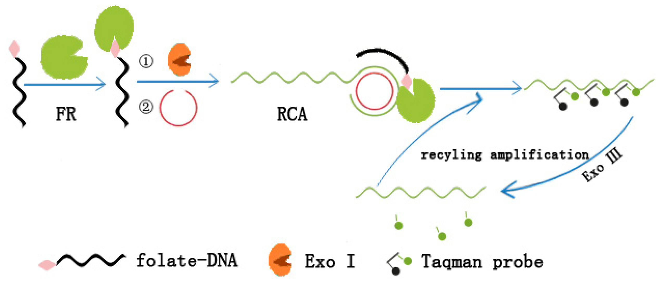 Ijms 15 05221f6 1024