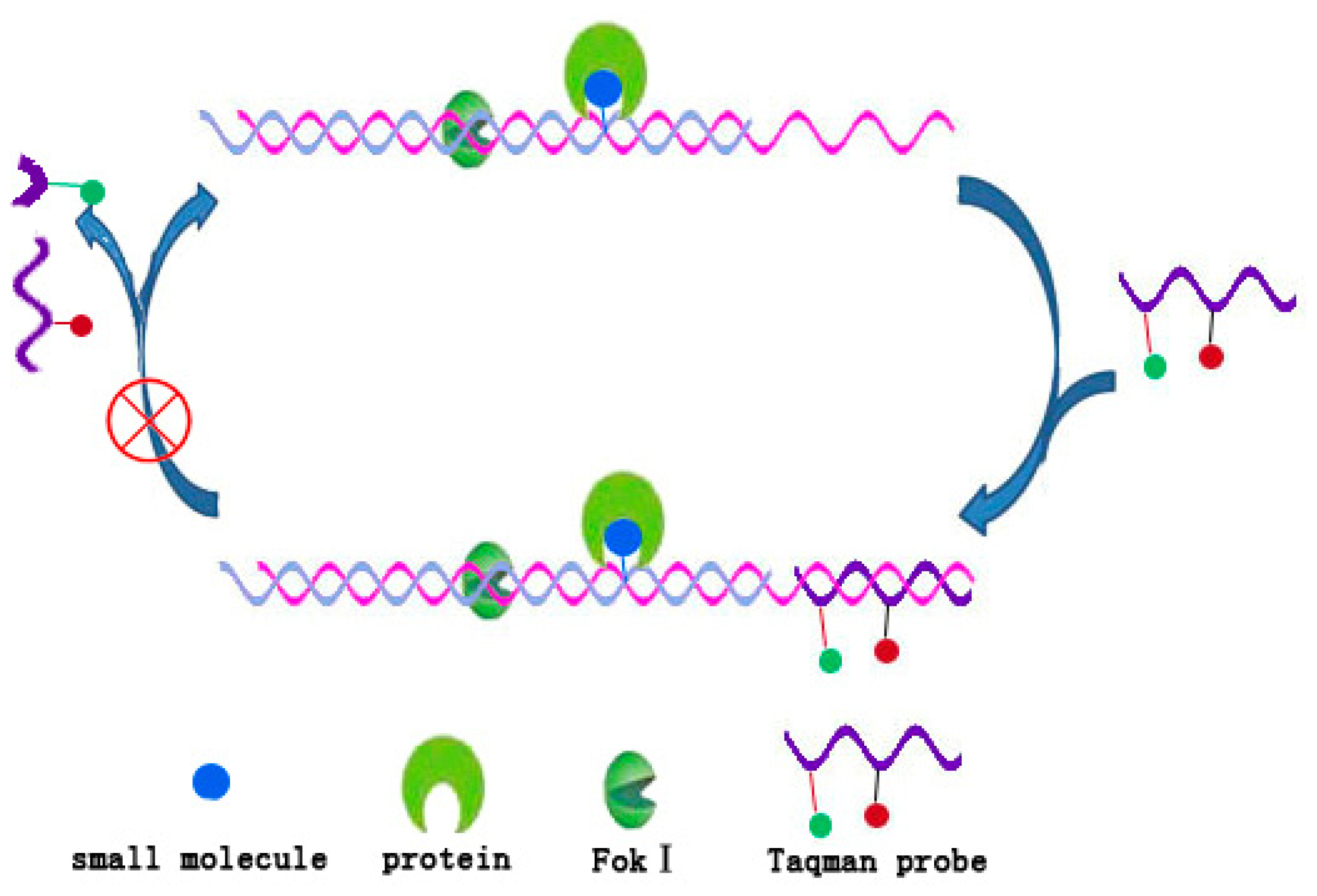 Ijms 15 05221f7 1024