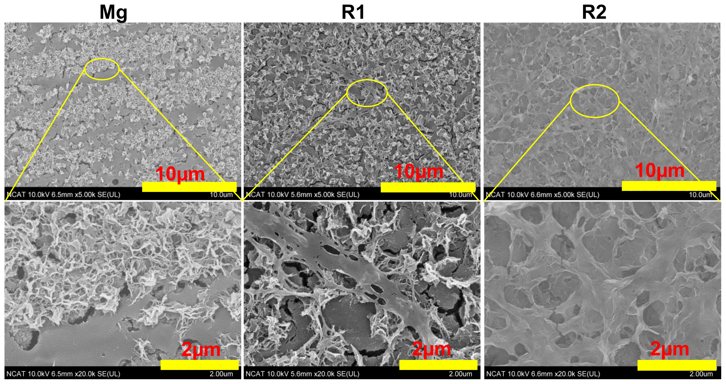 Ijms 15 05263f1 1024