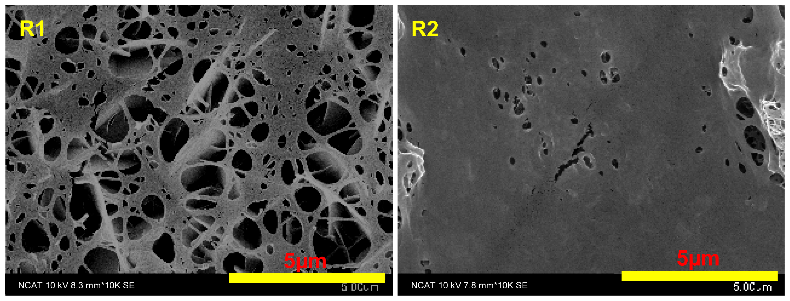 Ijms 15 05263f2 1024