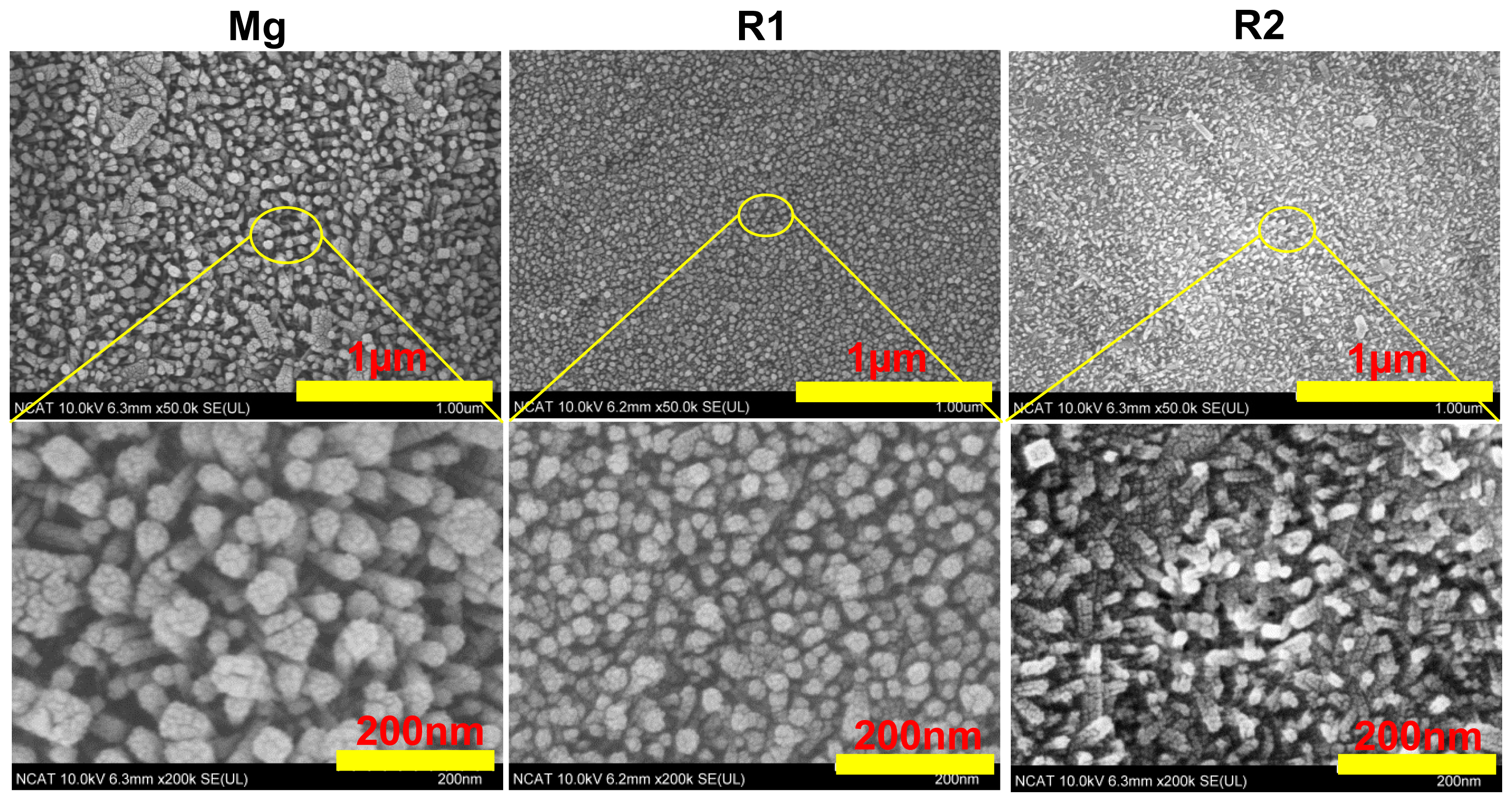 Ijms 15 05263f3 1024