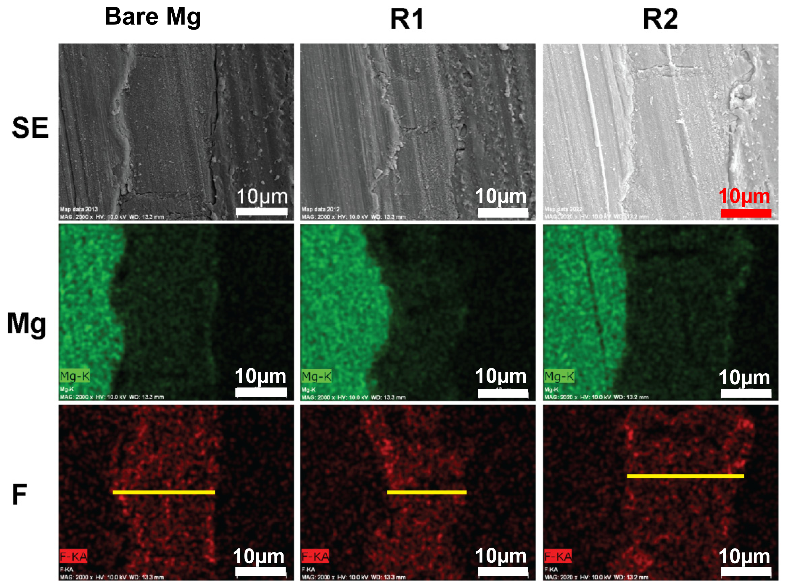 Ijms 15 05263f4 1024