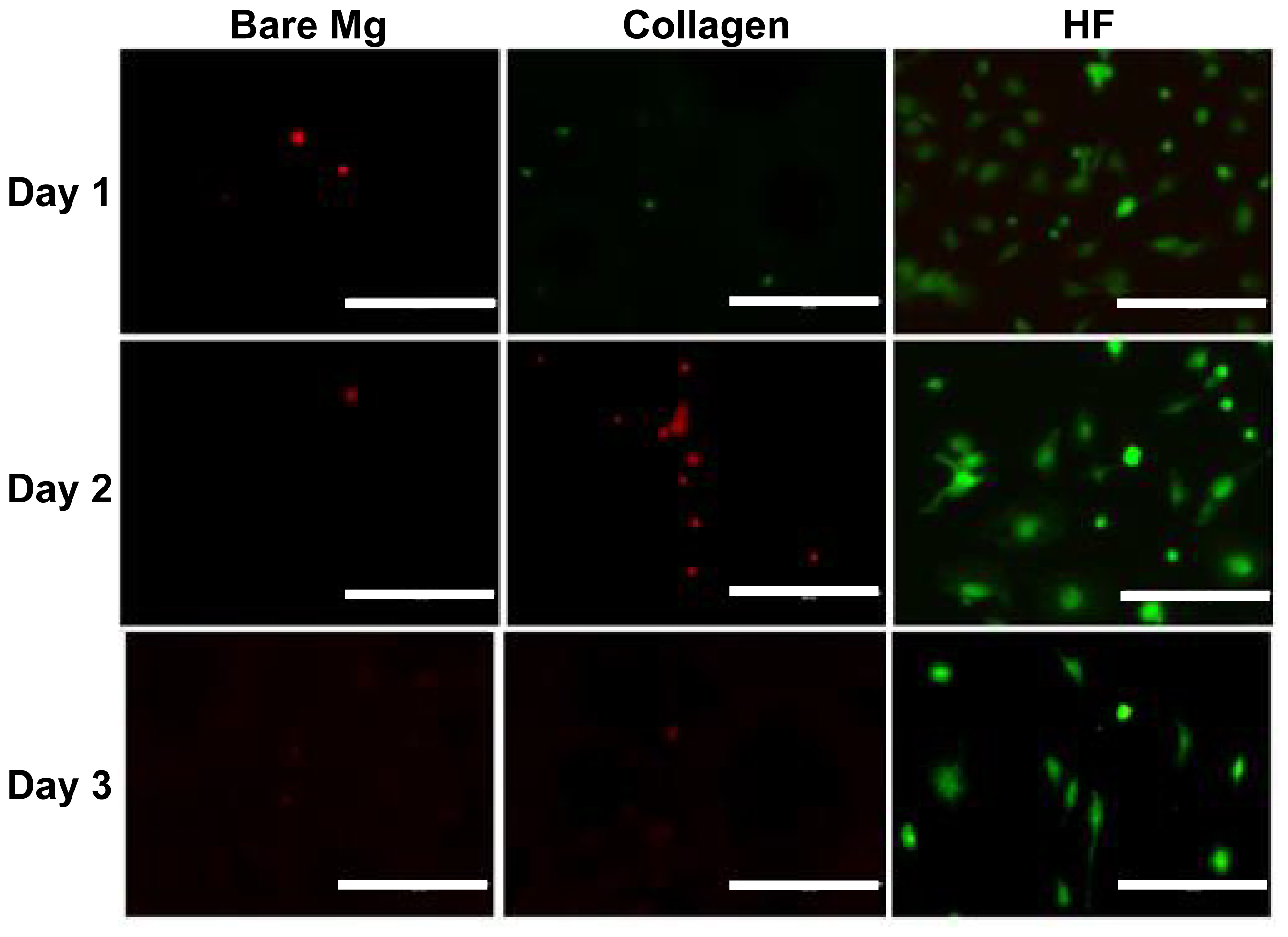 Ijms 15 05263f6 1024