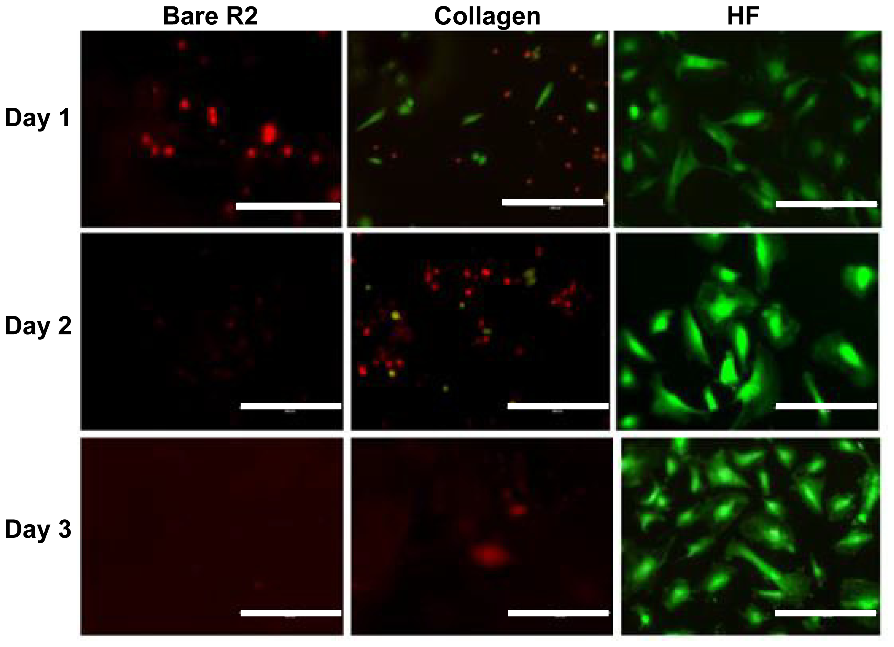 Ijms 15 05263f8 1024