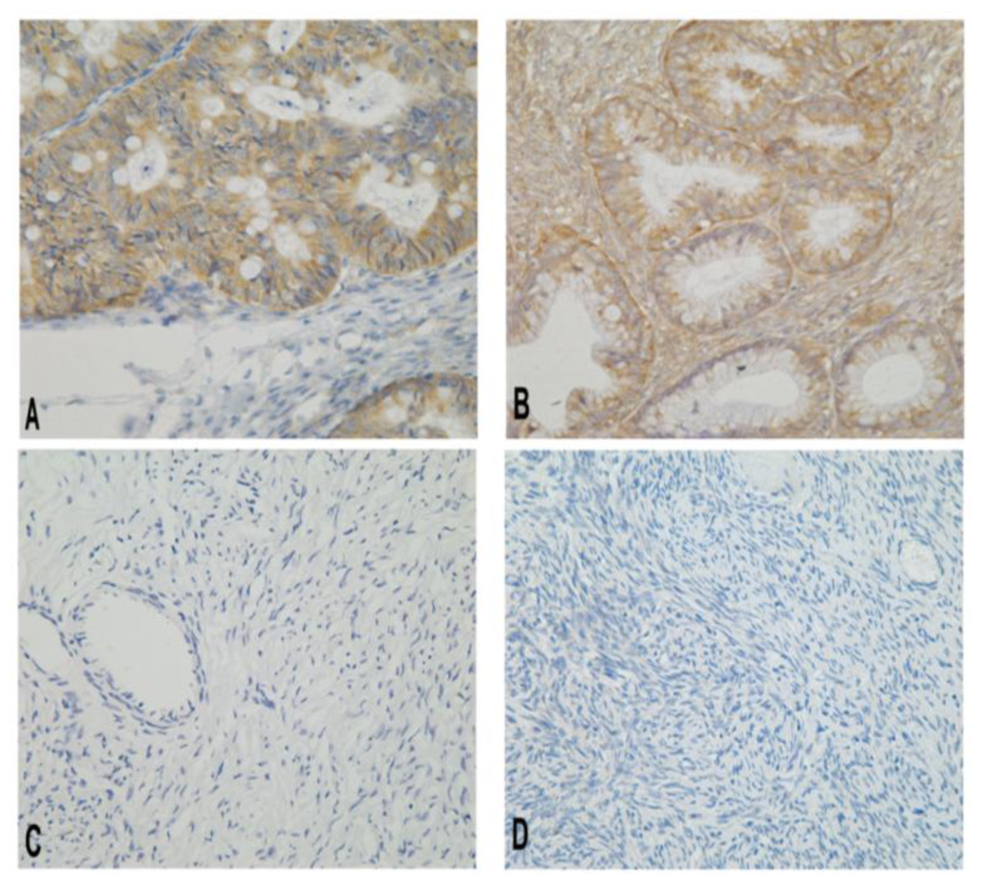 Ijms 15 05292f1 1024