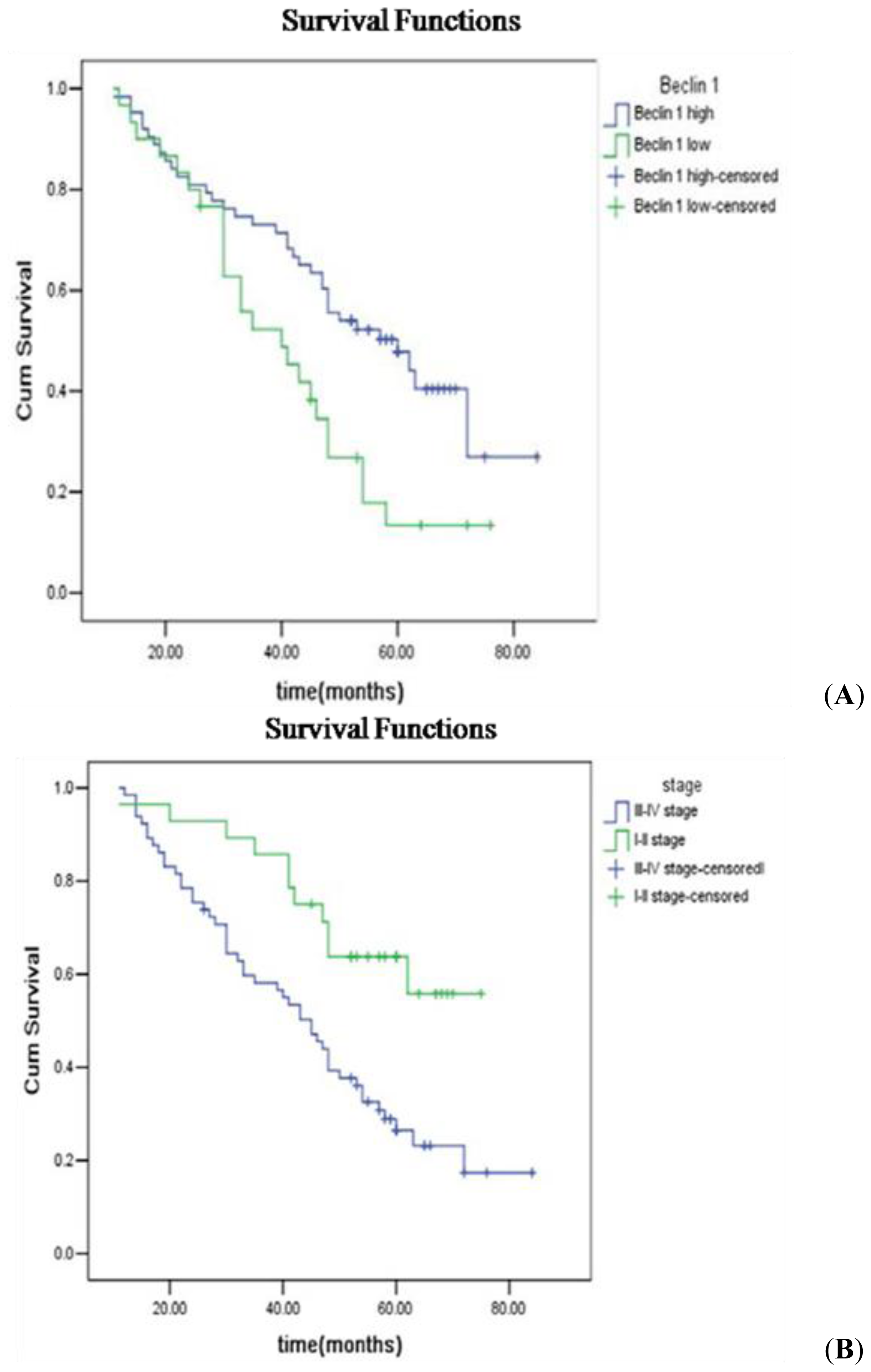 Ijms 15 05292f3 1024