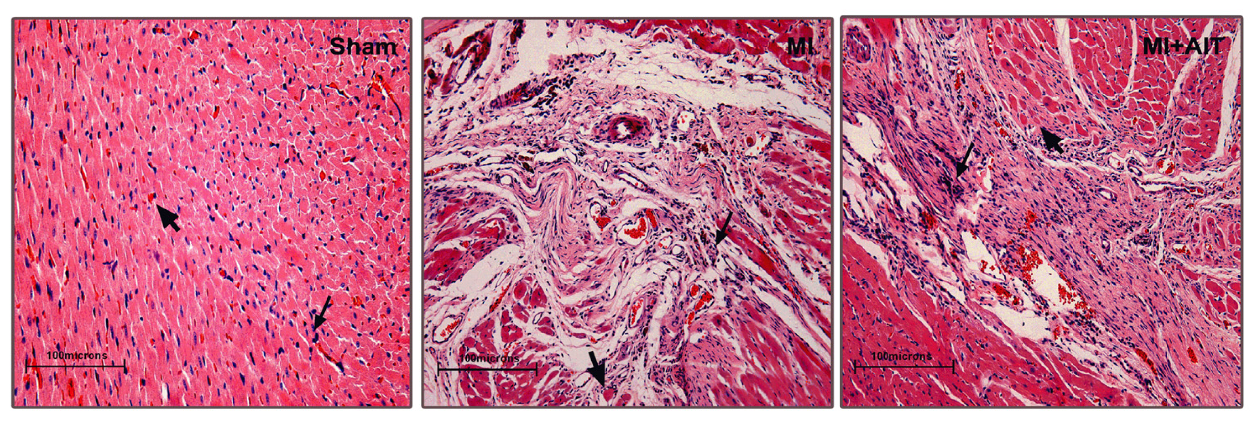 Ijms 15 05304f1 1024