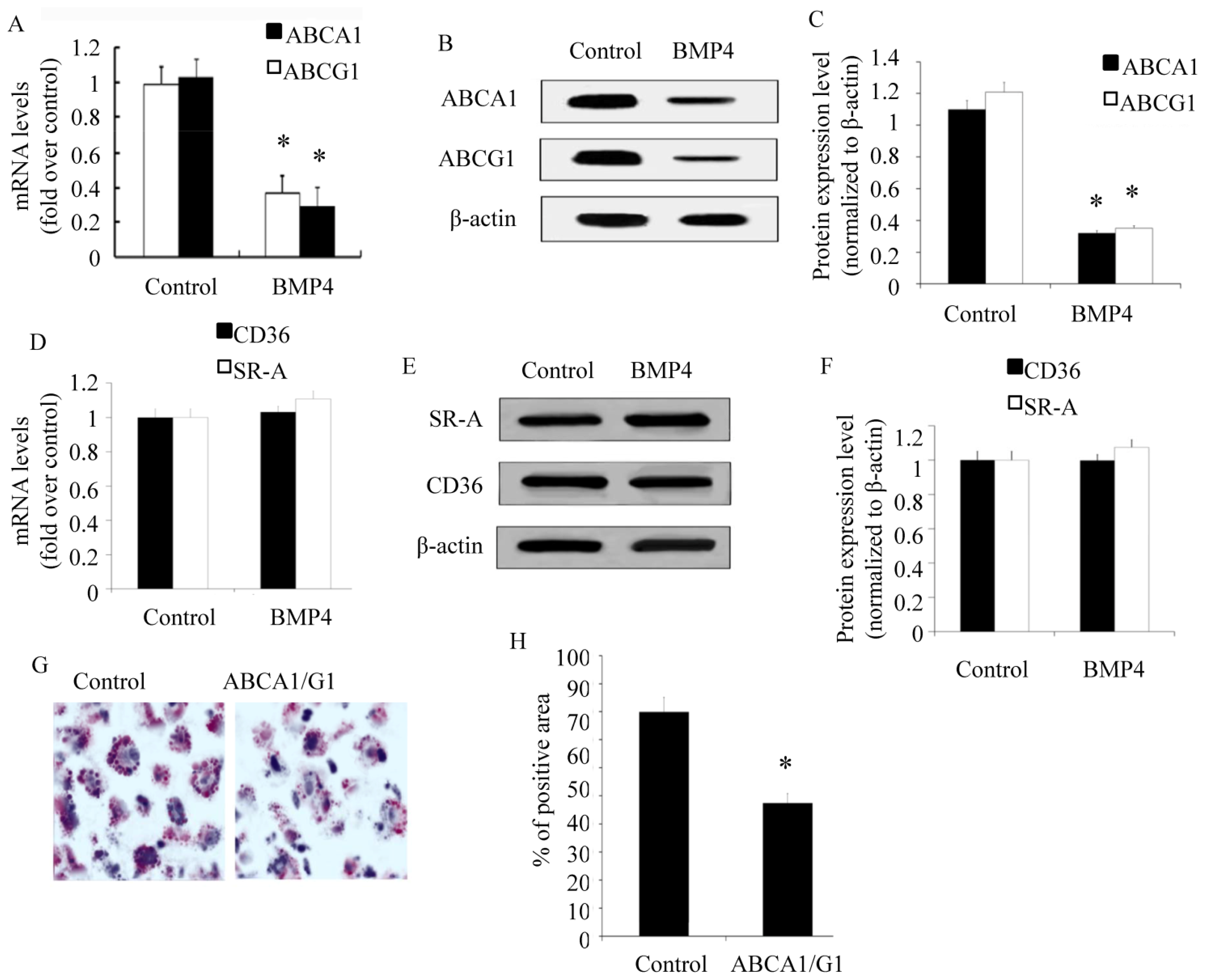 Ijms 15 05536f3 1024