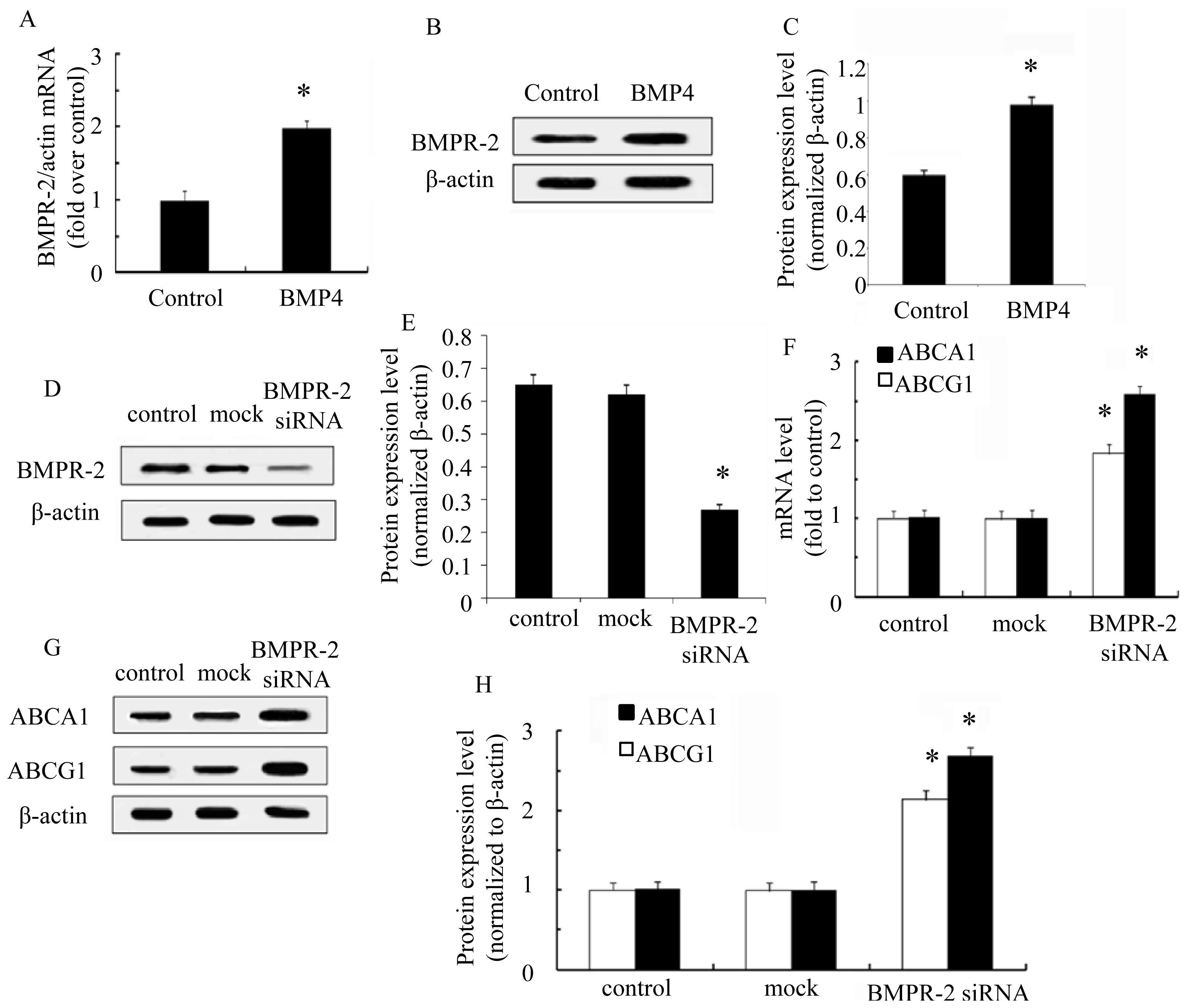 Ijms 15 05536f4 1024