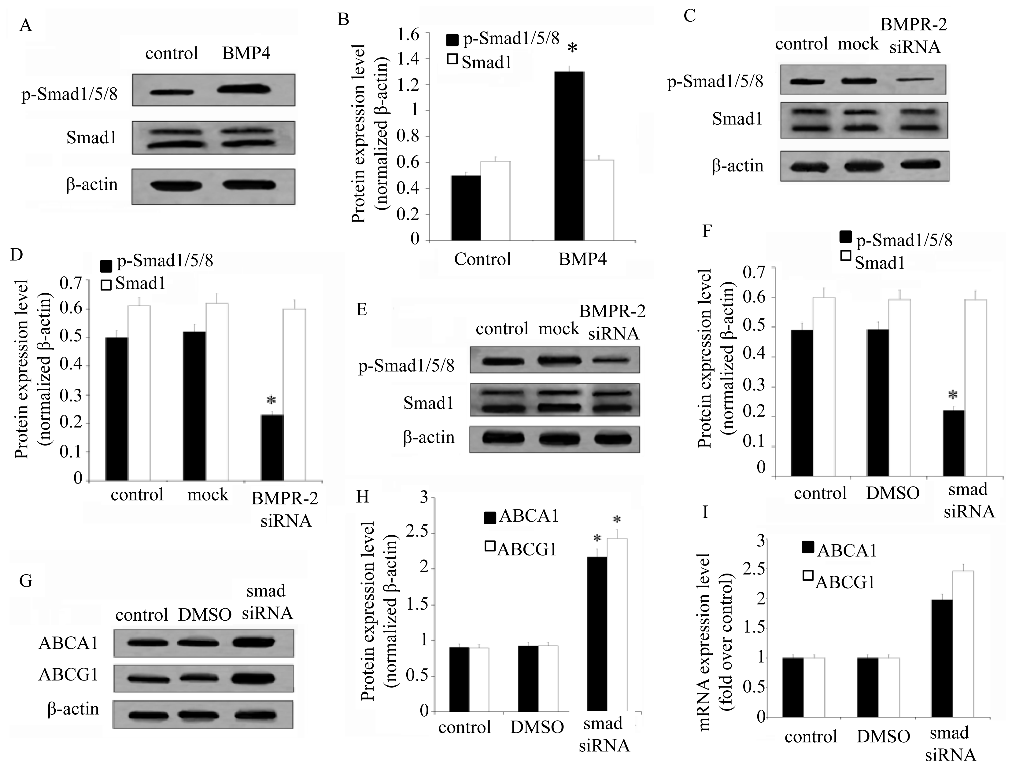 Ijms 15 05536f5 1024