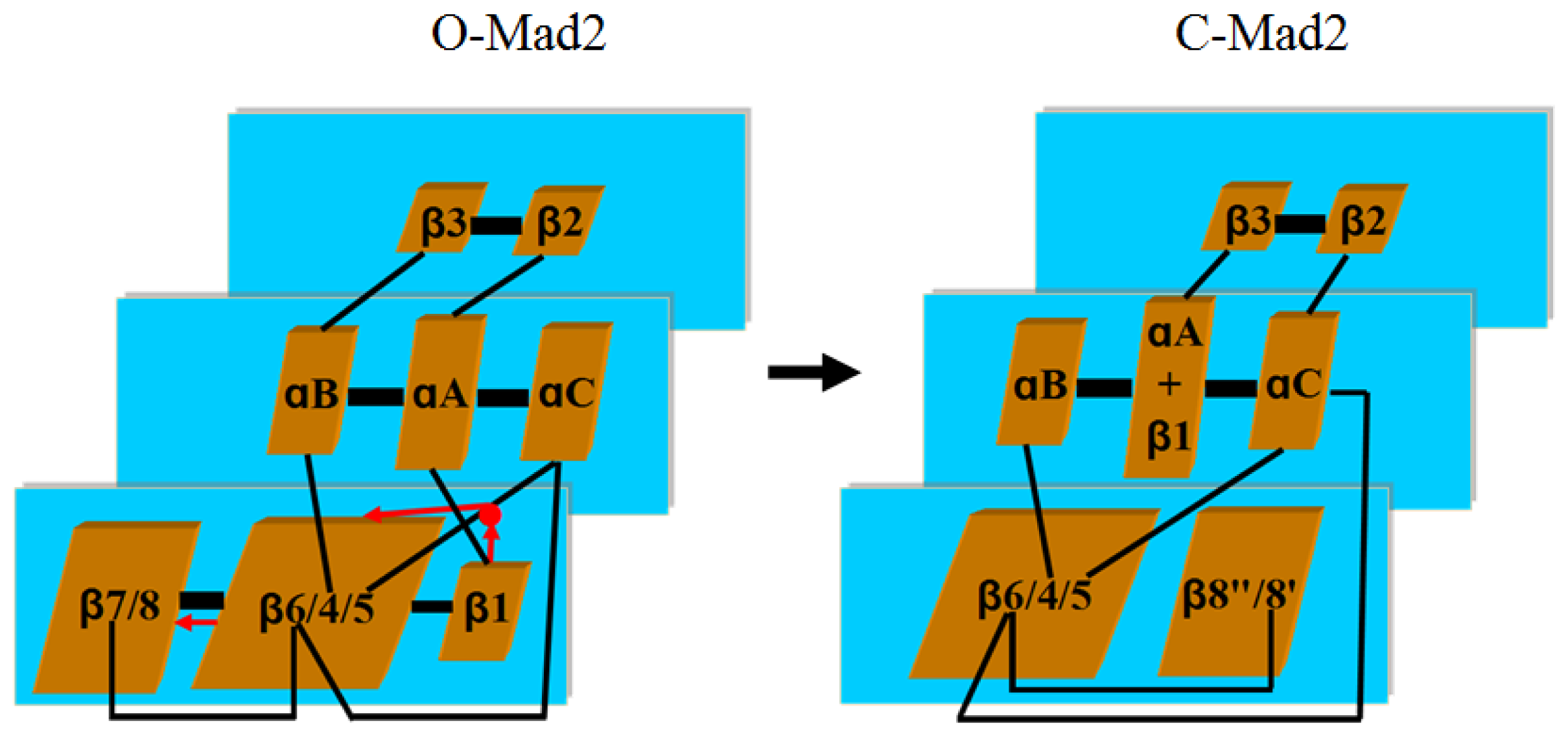 Ijms 15 05553f9 1024