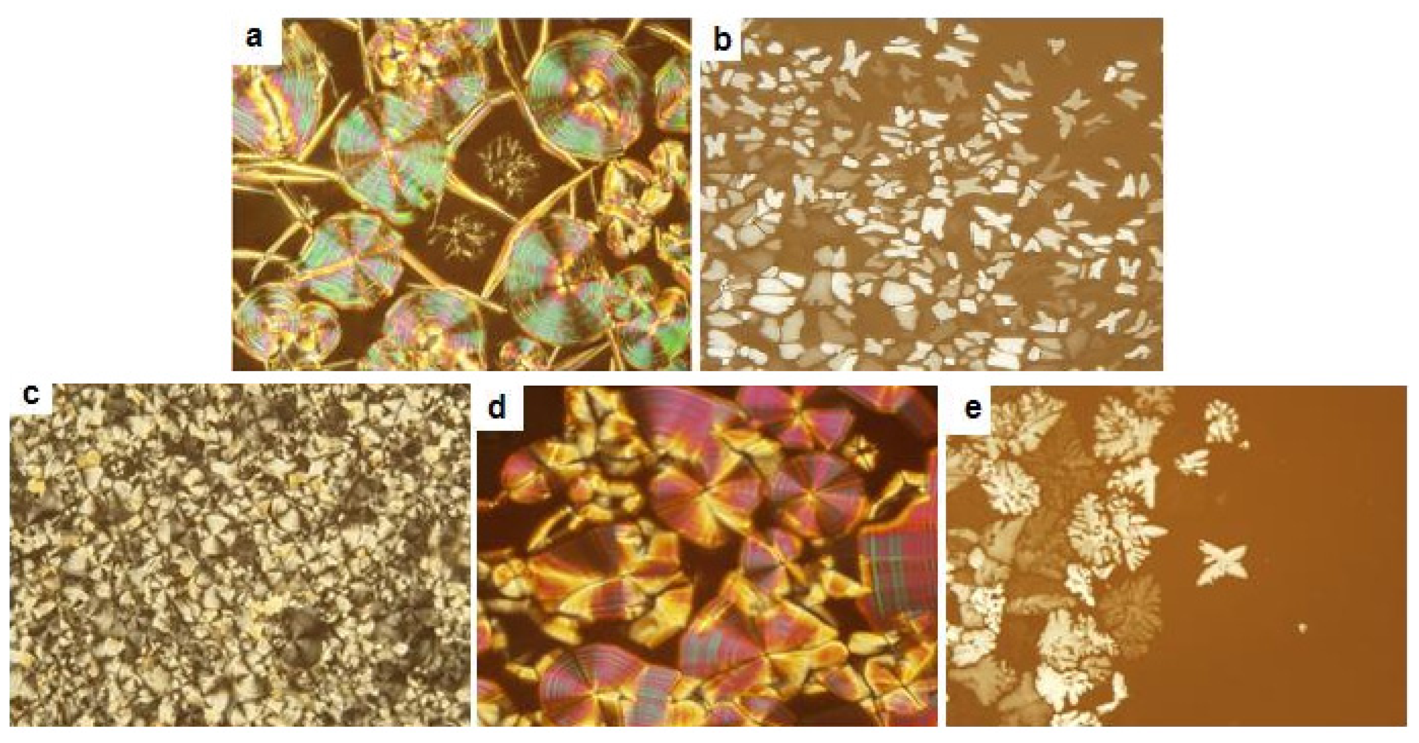 Ijms 15 05634f1 1024