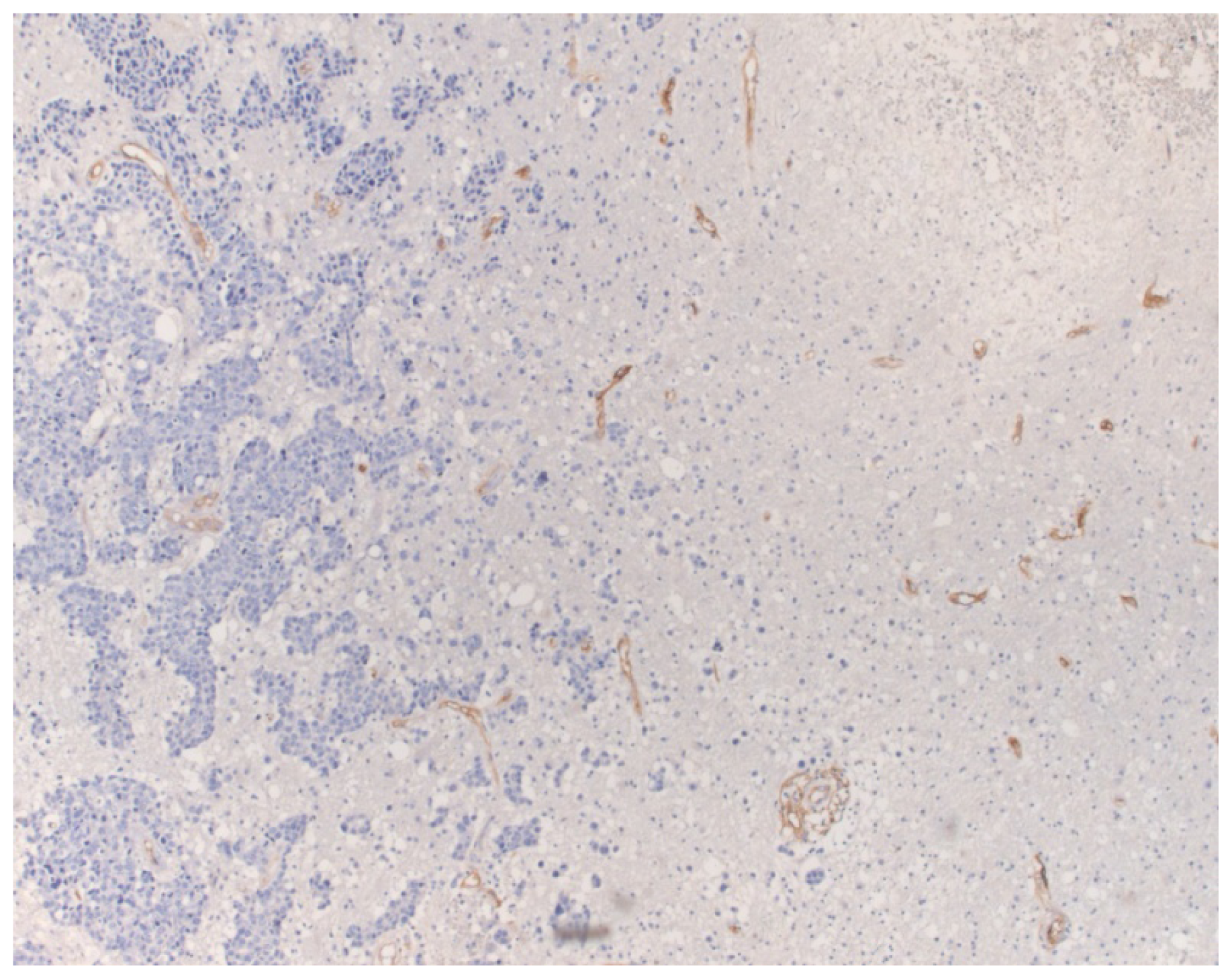 Ijms 15 05663f2 1024