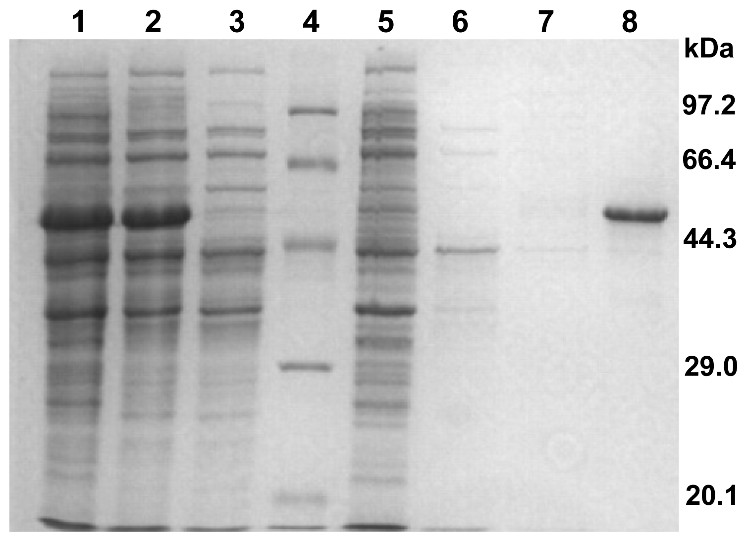 Ijms 15 05717f3 1024